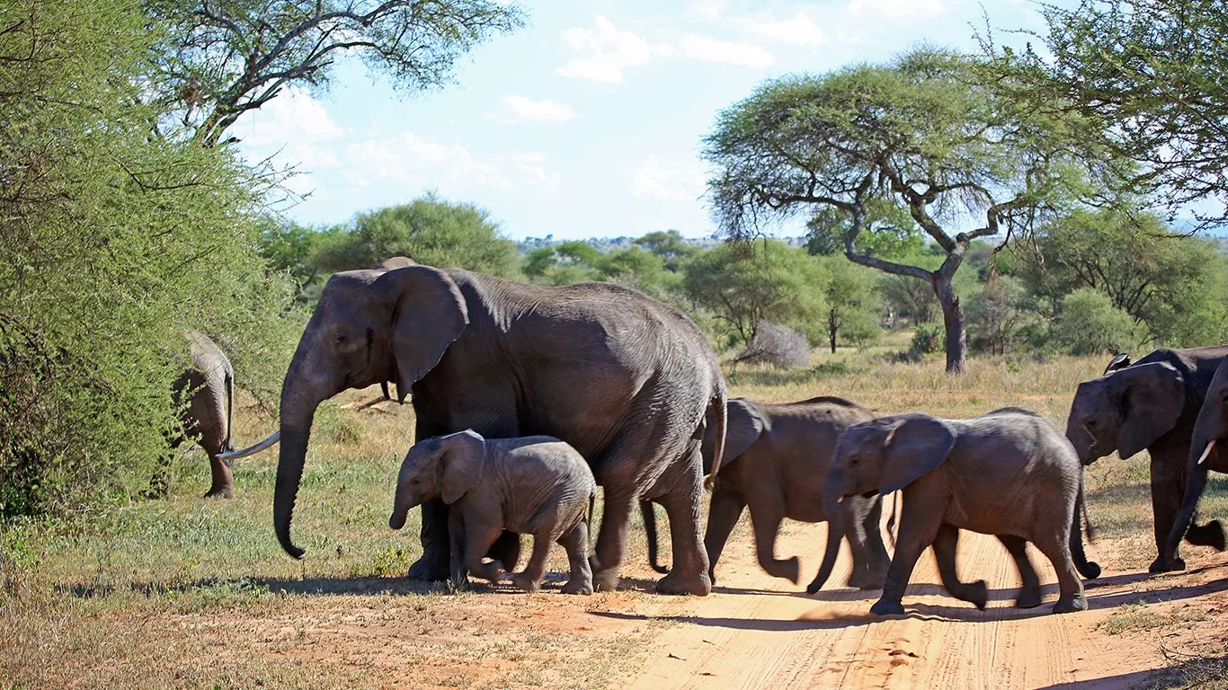 North Tanzania 4 Nächte - Privat