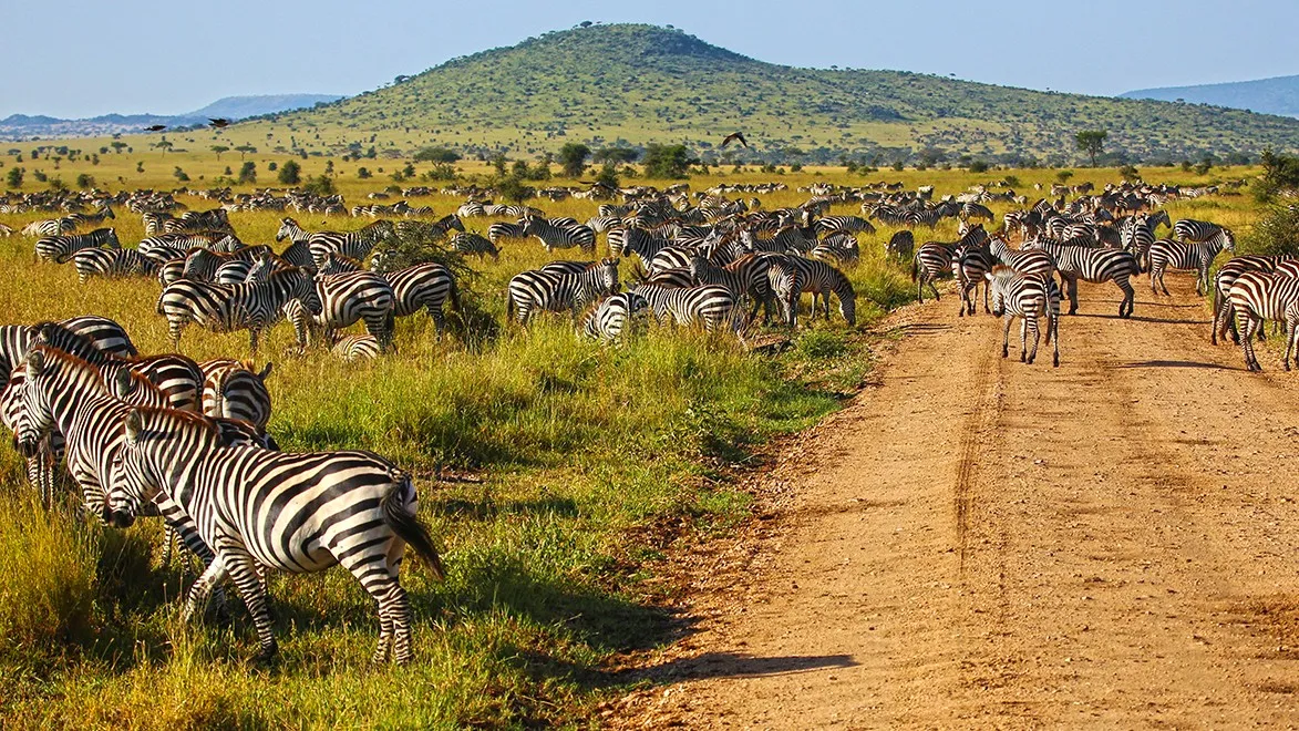 North Tanzania 5 Nächte - Privat