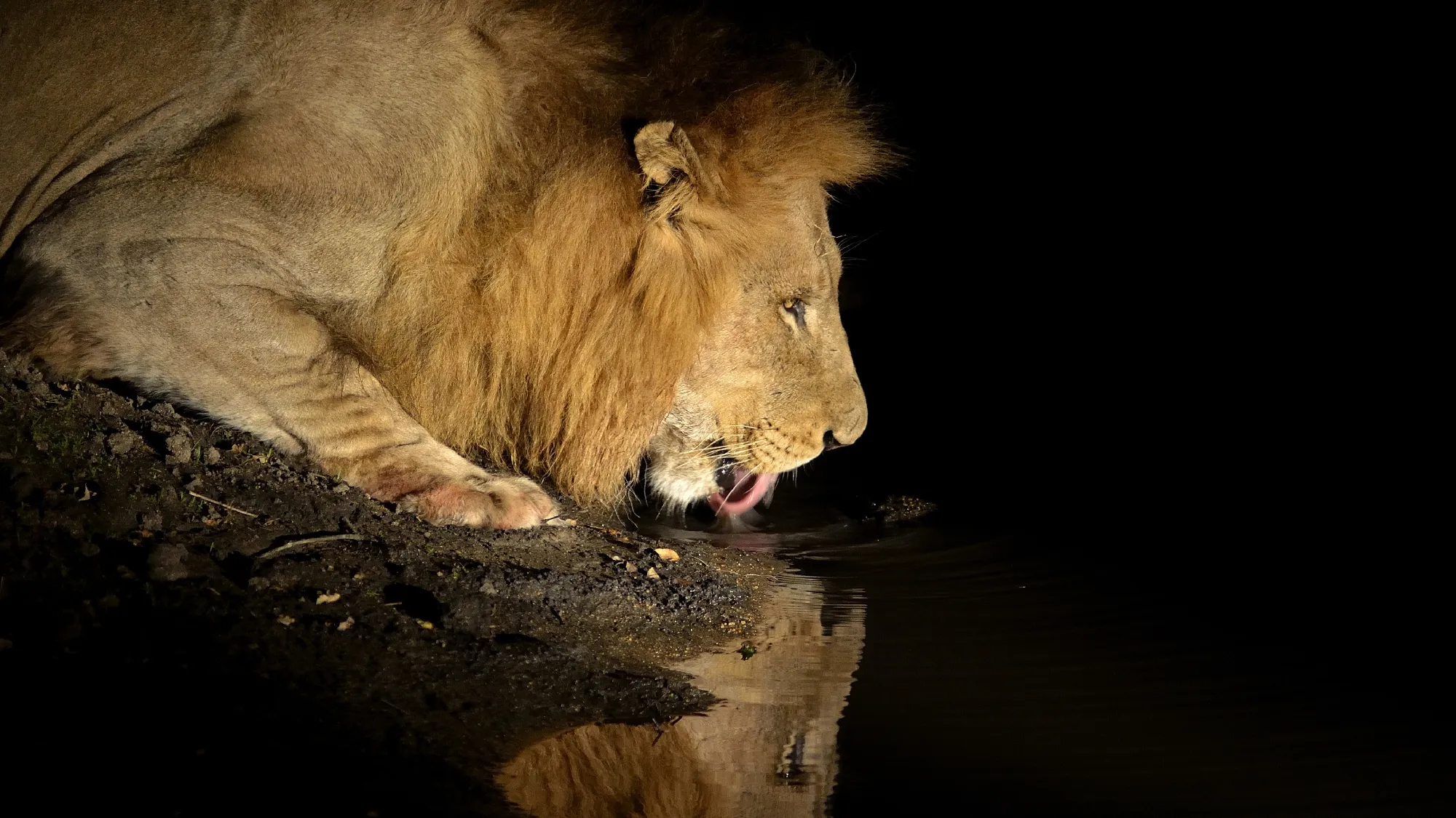 3 Nächte Fly-in Safari Serengeti - Privat
