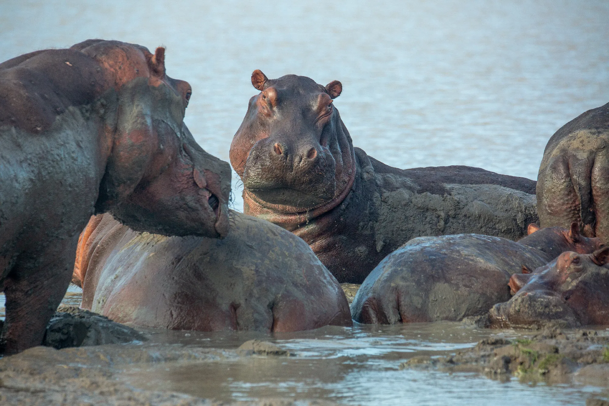 3 Nächte Fly-in Safari Selous/Nyerere - Kleingruppe