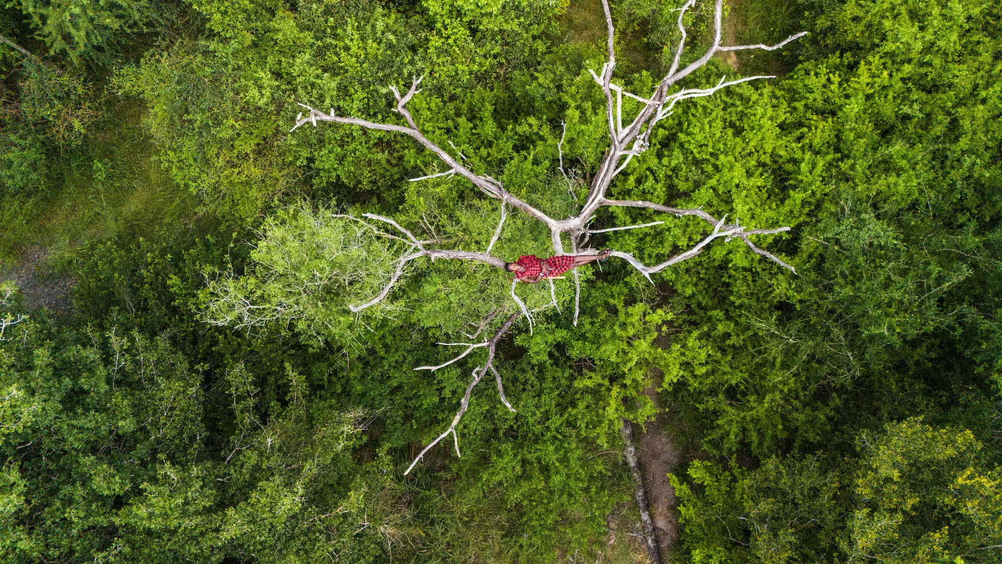 2 Nächte Fly-in Safari Selous/ Nyerere - Kleingruppe