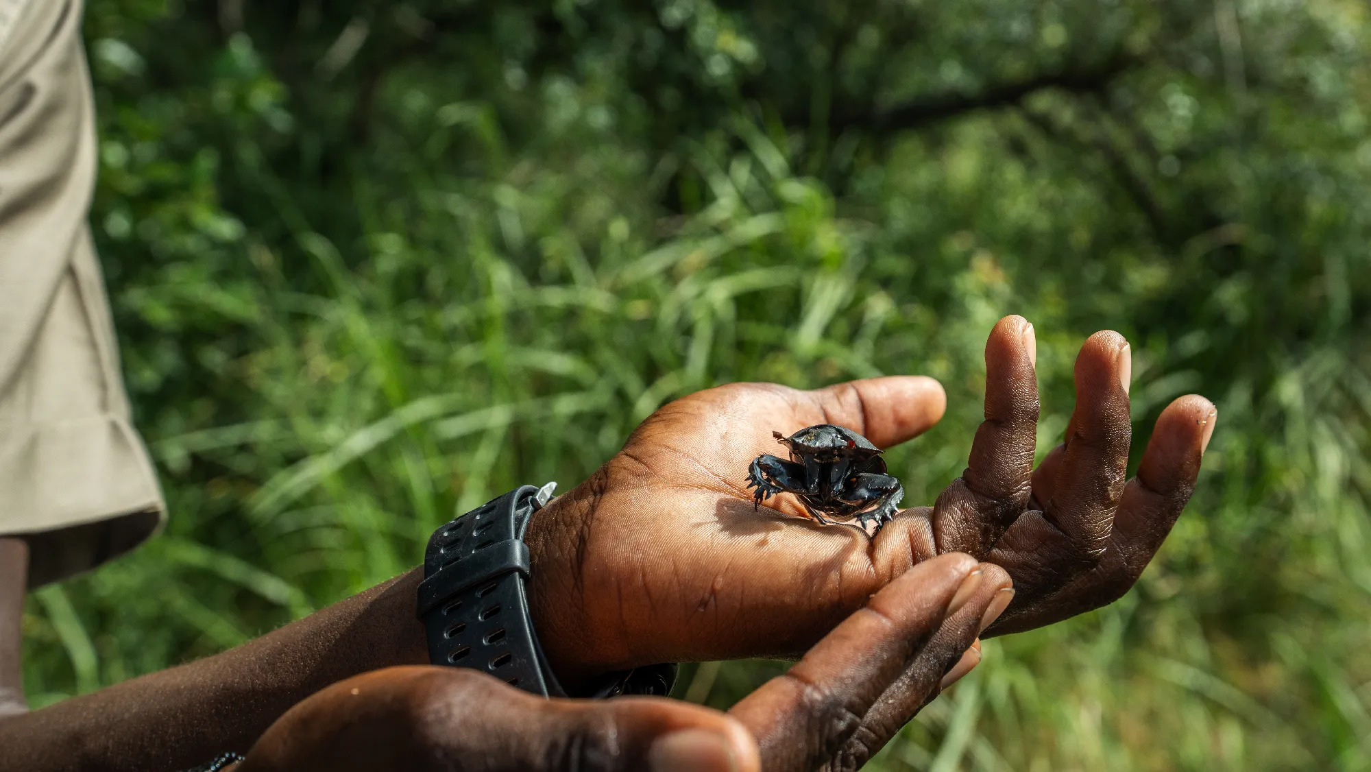 3 Nächte Fly-in Safari Selous/Nyerere - Kleingruppe