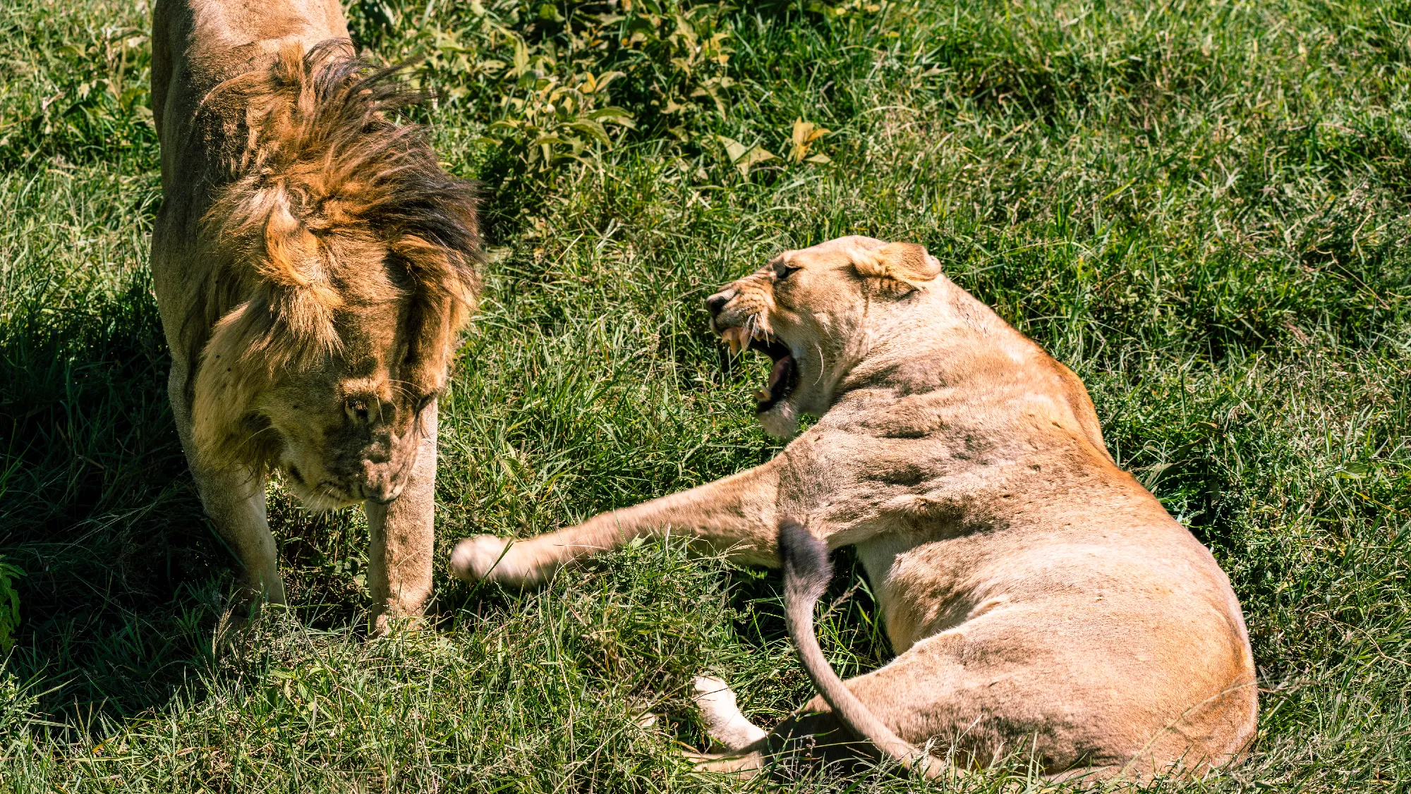 North Tanzania 5 Nächte - Privat