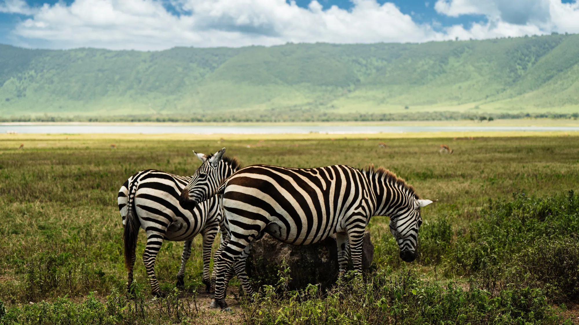 North Tanzania 5 Nächte - Privat