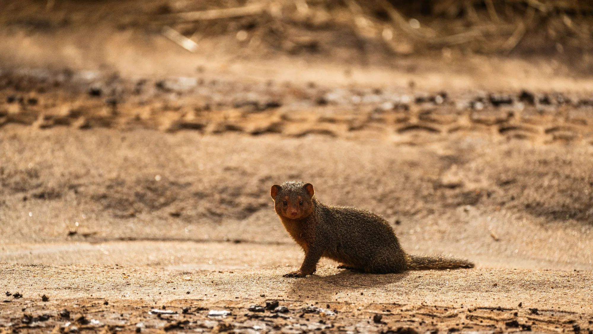 North Tanzania 4 Nächte - Privat