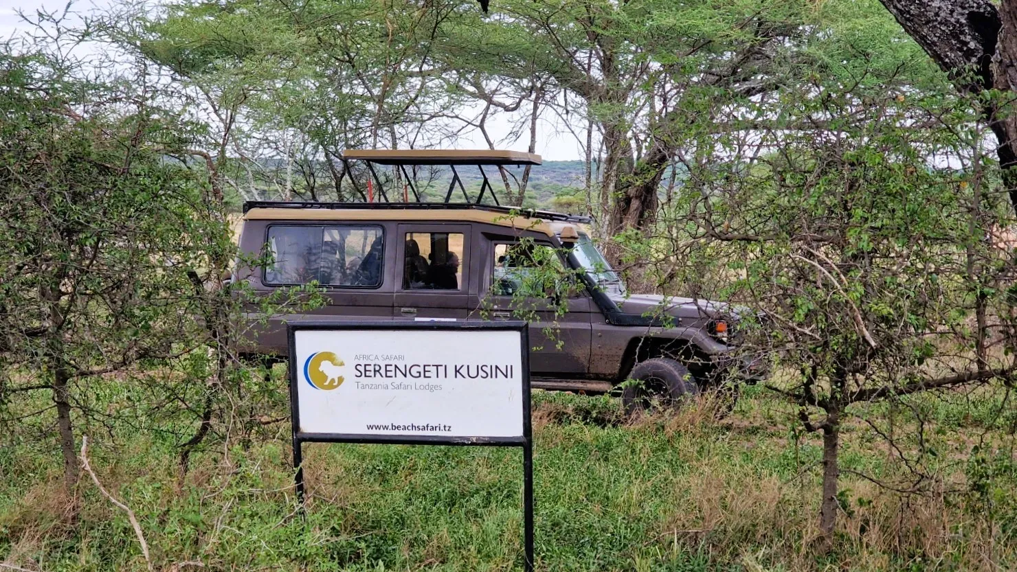 3 Nächte Fly-in Safari Serengeti - Privat