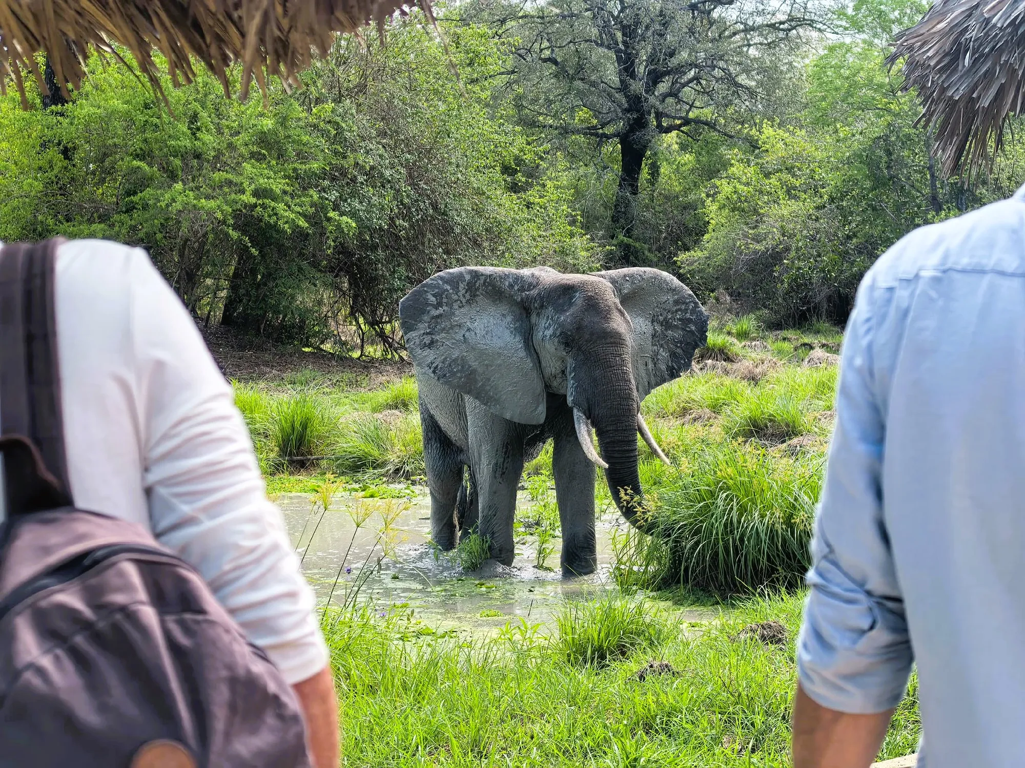 2 Nächte Fly-in Safari Selous/ Nyerere - Kleingruppe