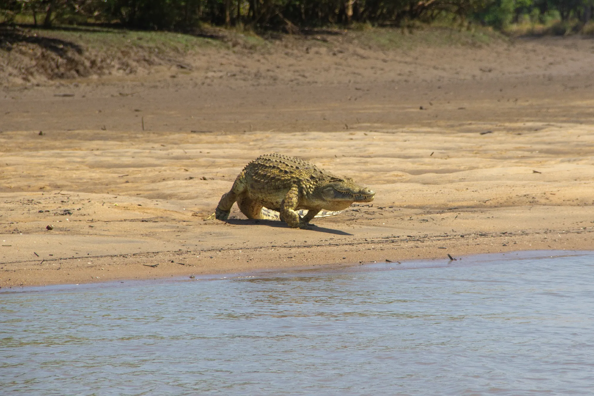 Saadani Safari 2 Nächte - Kleingruppe
