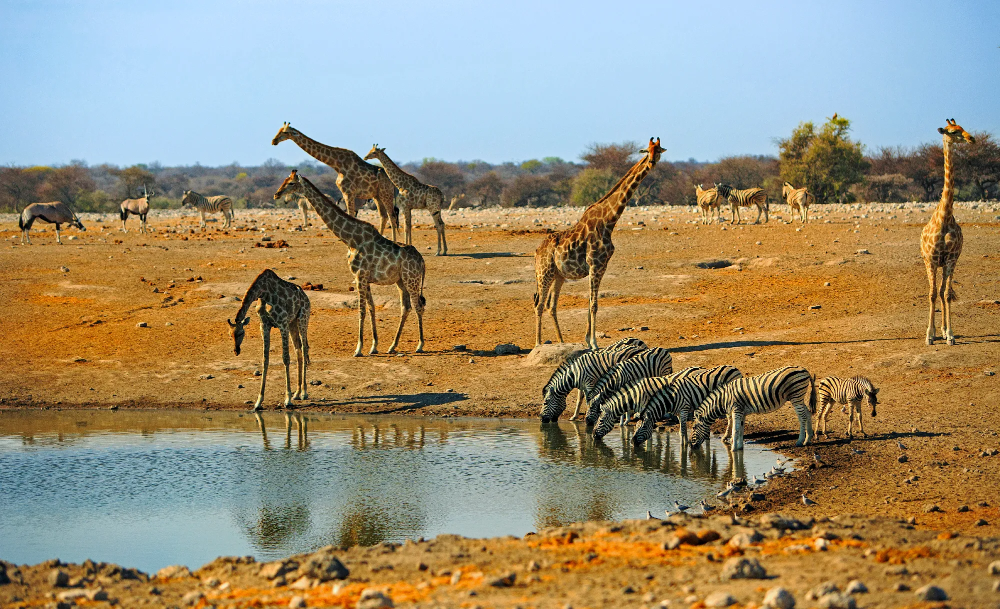 African Explorer | Von den Viktoriafällen bis zum Indischen Ozean