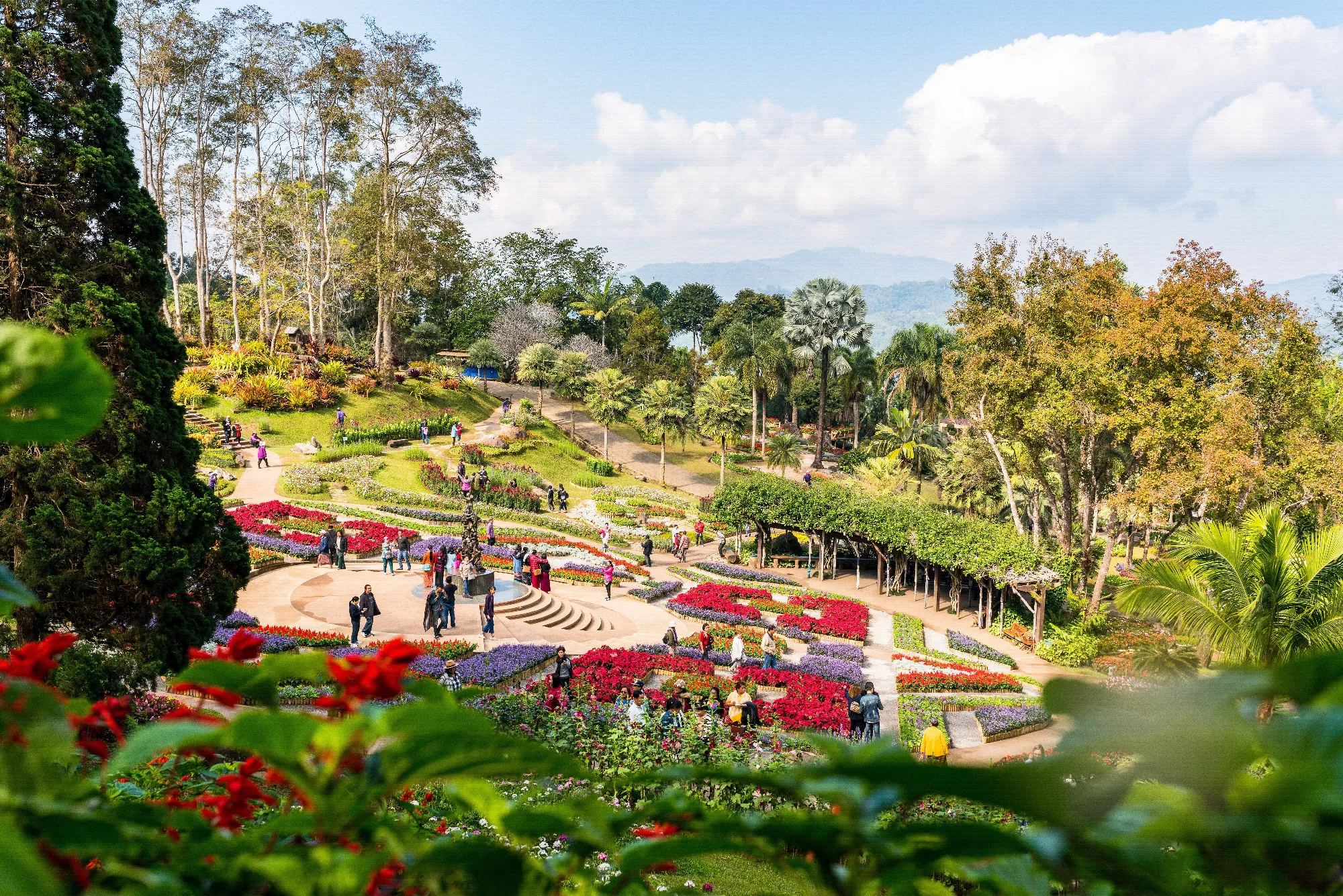 Mekong Flusskreuzfahrt Orchidee