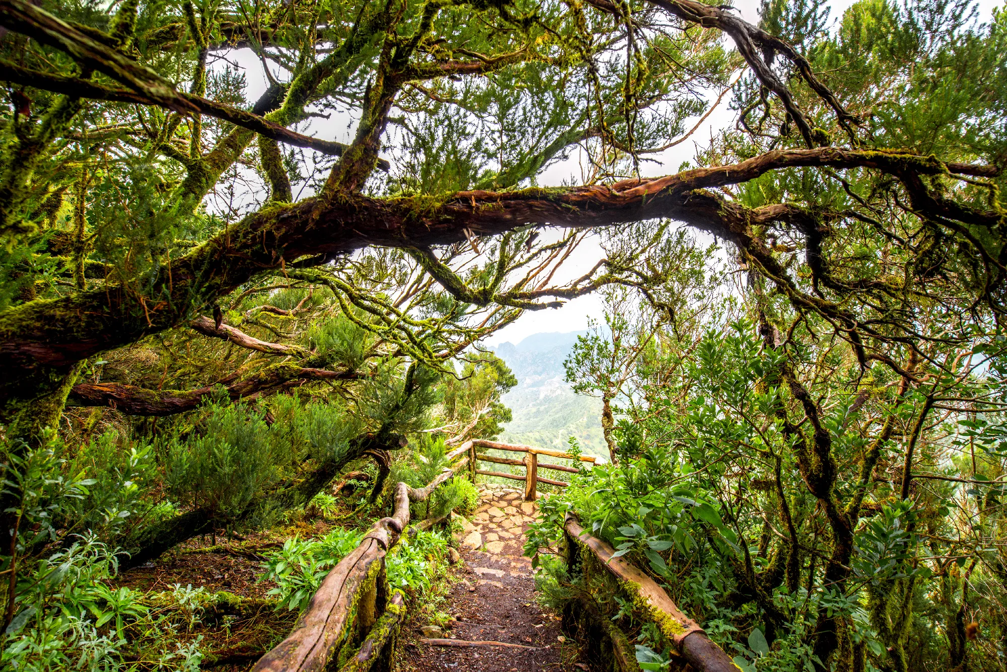 SPANIEN | La Gomera „Wanderjuwel im Atlantik“