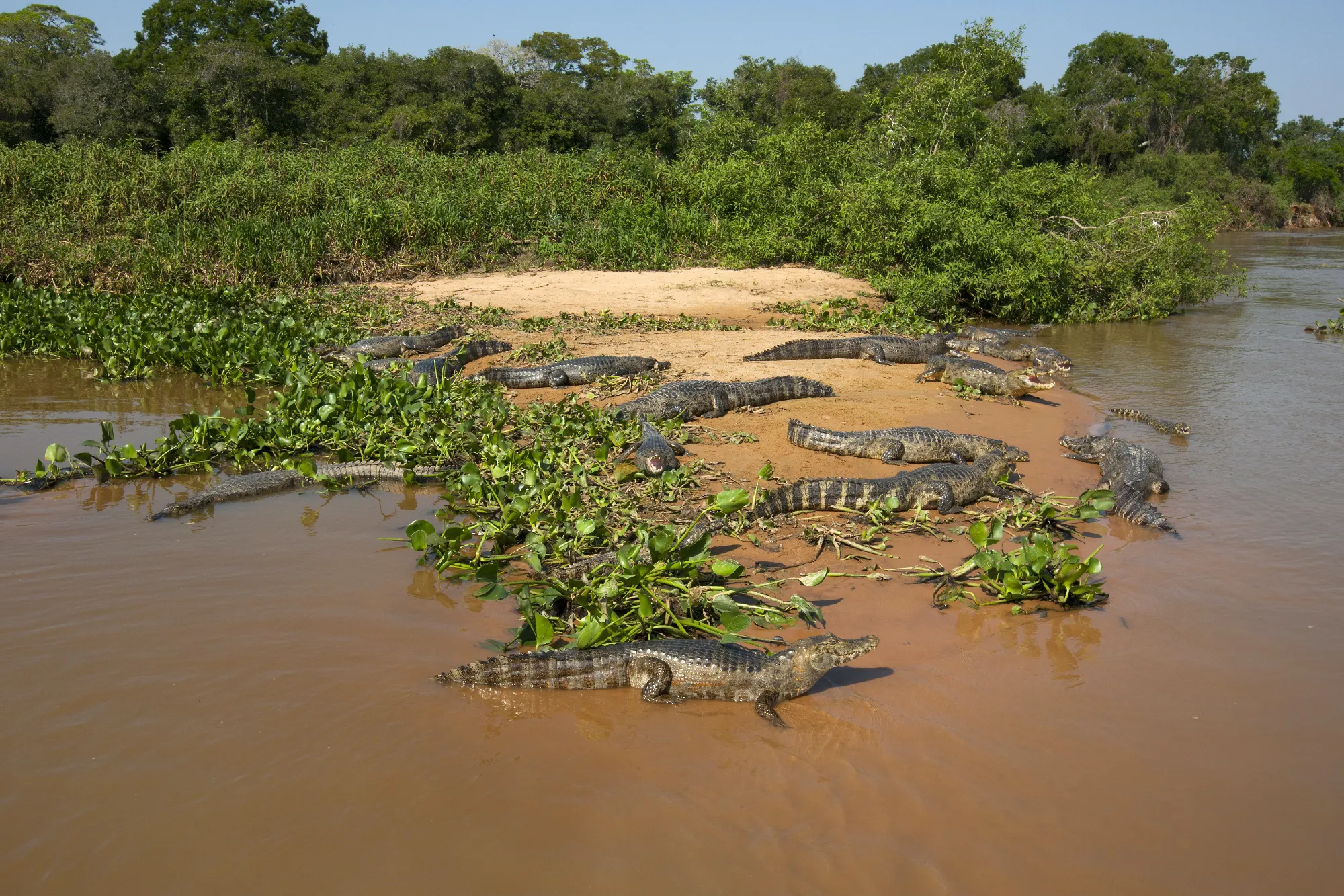 1.000 Meilen auf dem Amazonas - Exklusiv-Charter: 1.000 Meilen auf dem Amazonas von Manaus nach Tabatinga