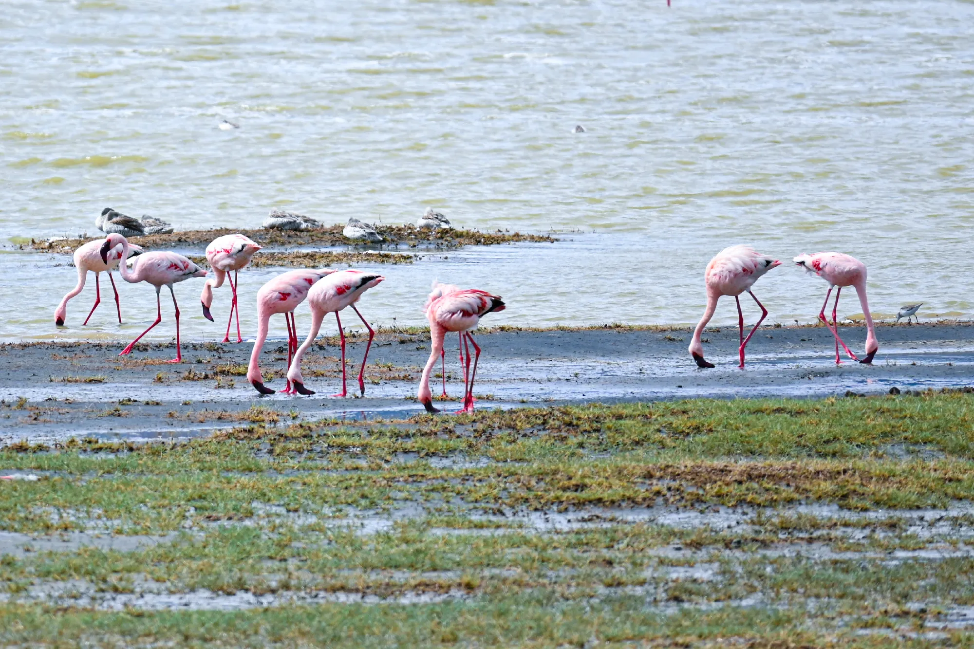 Tanzania Safari-Abenteuer 7 Nächte - Kleingruppe