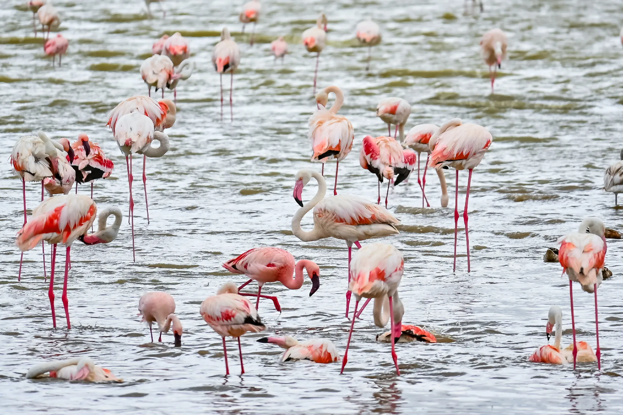 Tanzania Classic 4 Nächte - Privat