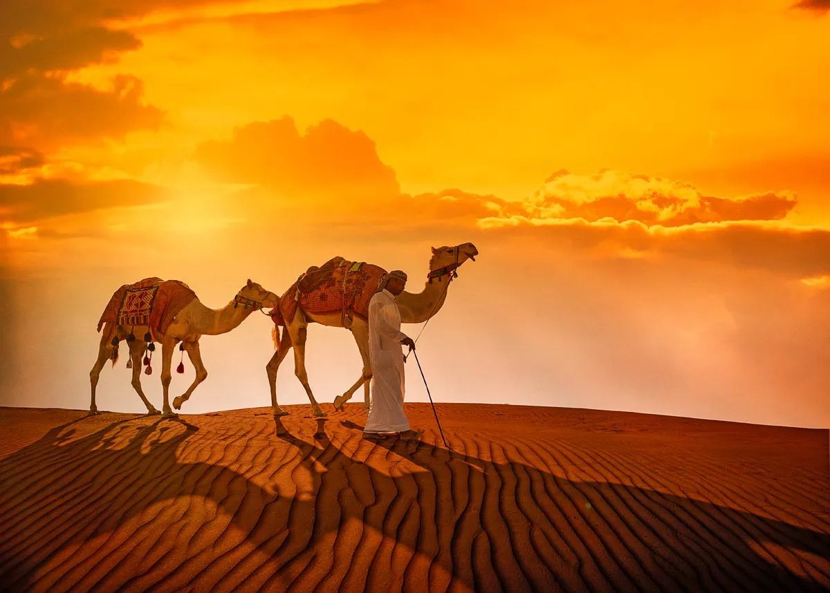 Oman die umfassende Reise