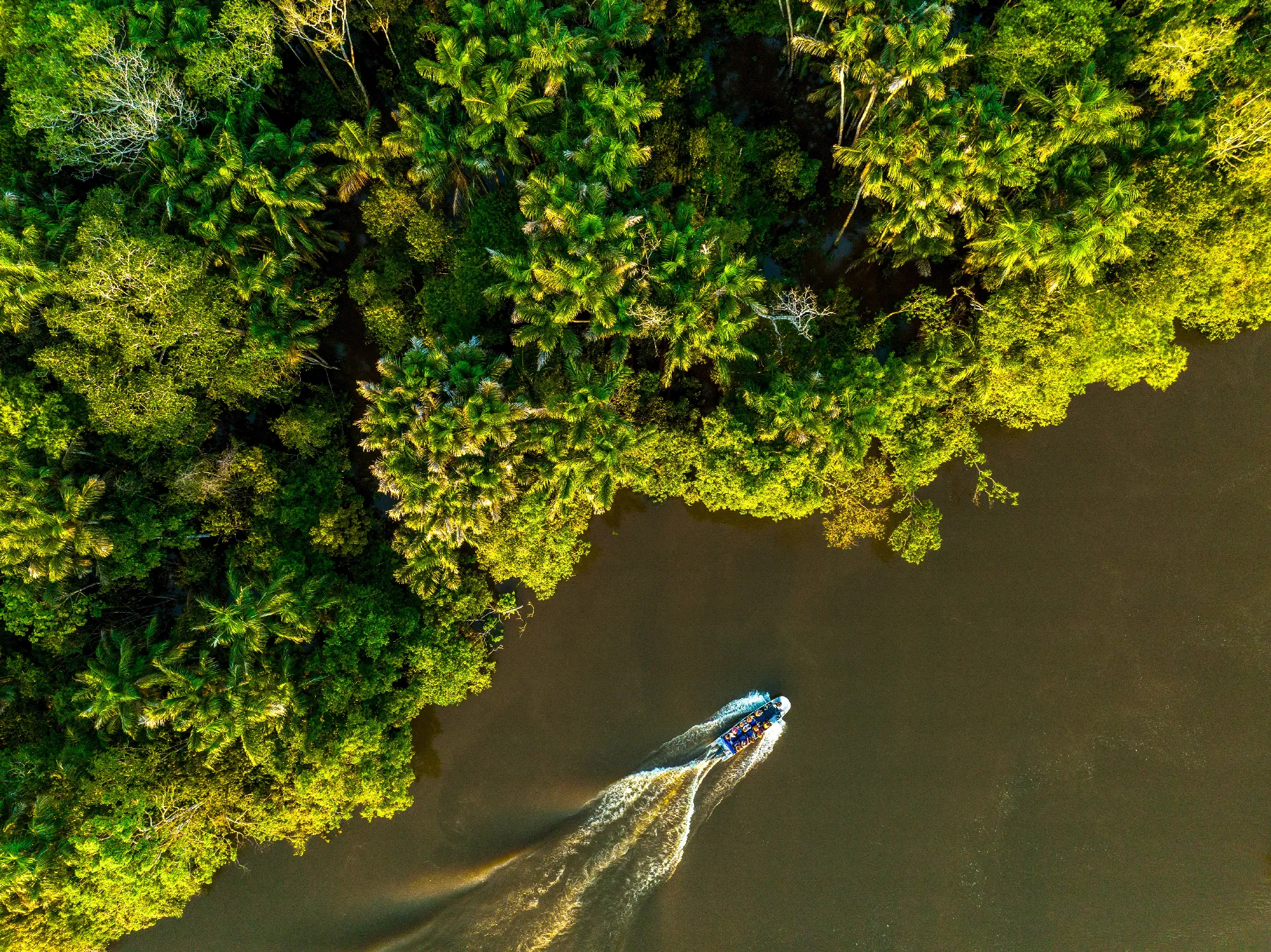 1.000 Meilen auf dem Amazonas - Exklusiv-Charter: 1.000 Meilen auf dem Amazonas von Manaus nach Tabatinga