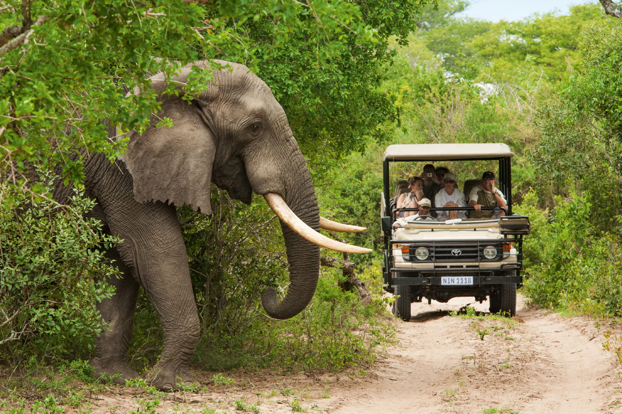 Sansibar | Ruf der Wildnis - Safari & Baden | Dream of Zanzibar ***** & Africa Safari Nyerere Camp | ab/bis Wien