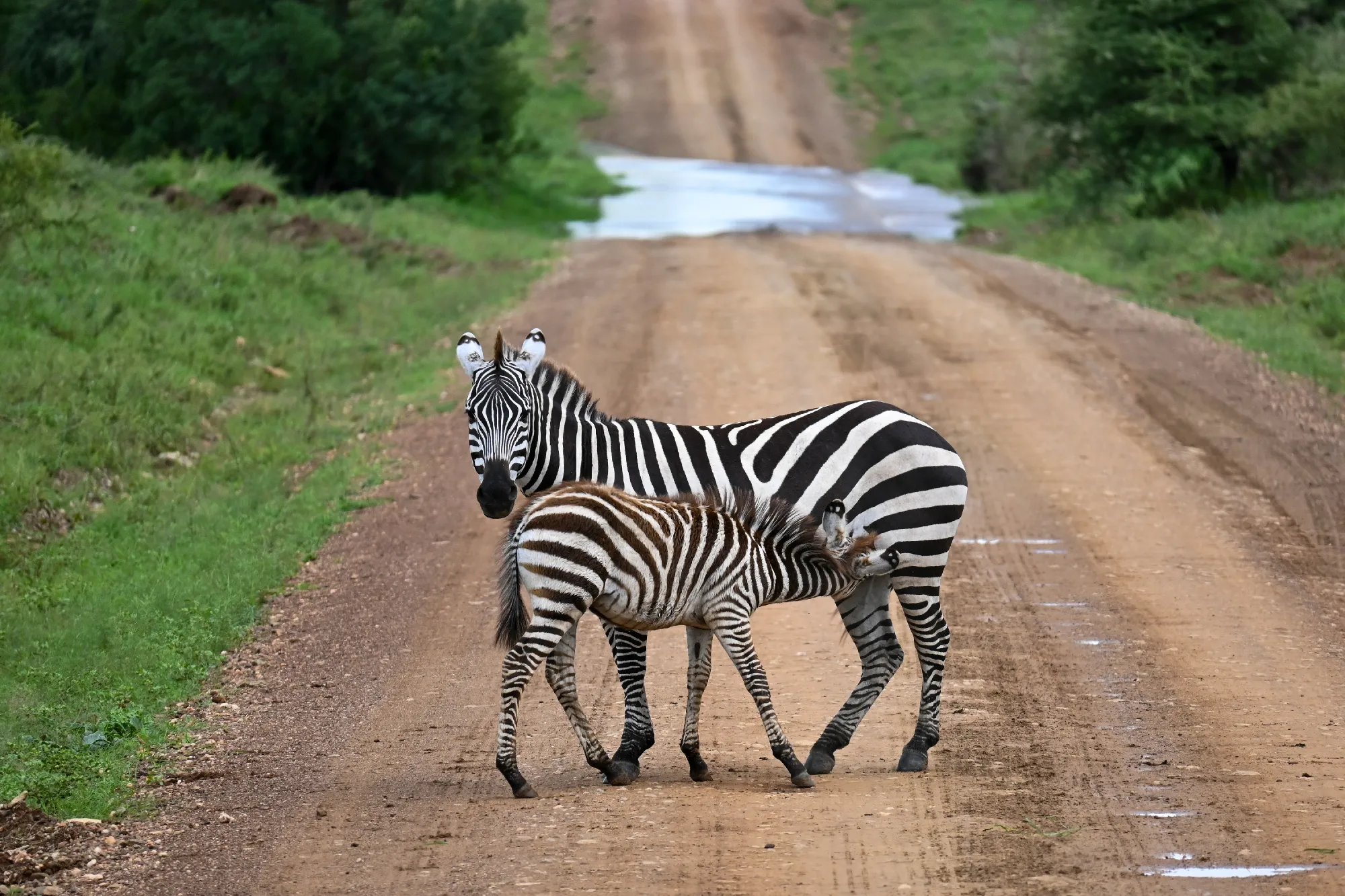 The Mombasa Rendezvous 3 Nächte - Kleingruppe