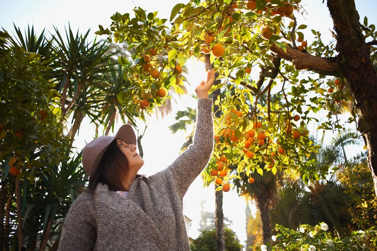 Andalusien | Landschaften