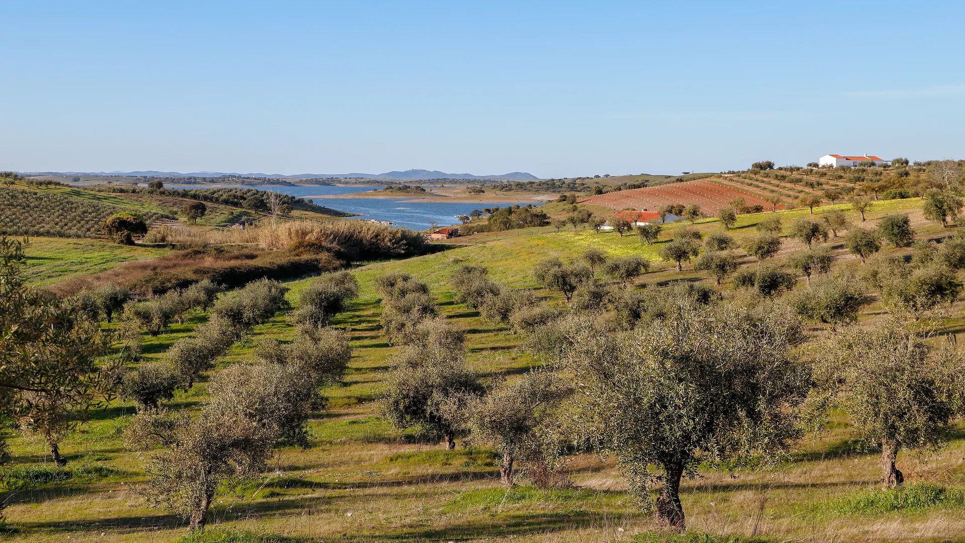 Best of Rota Vicentina