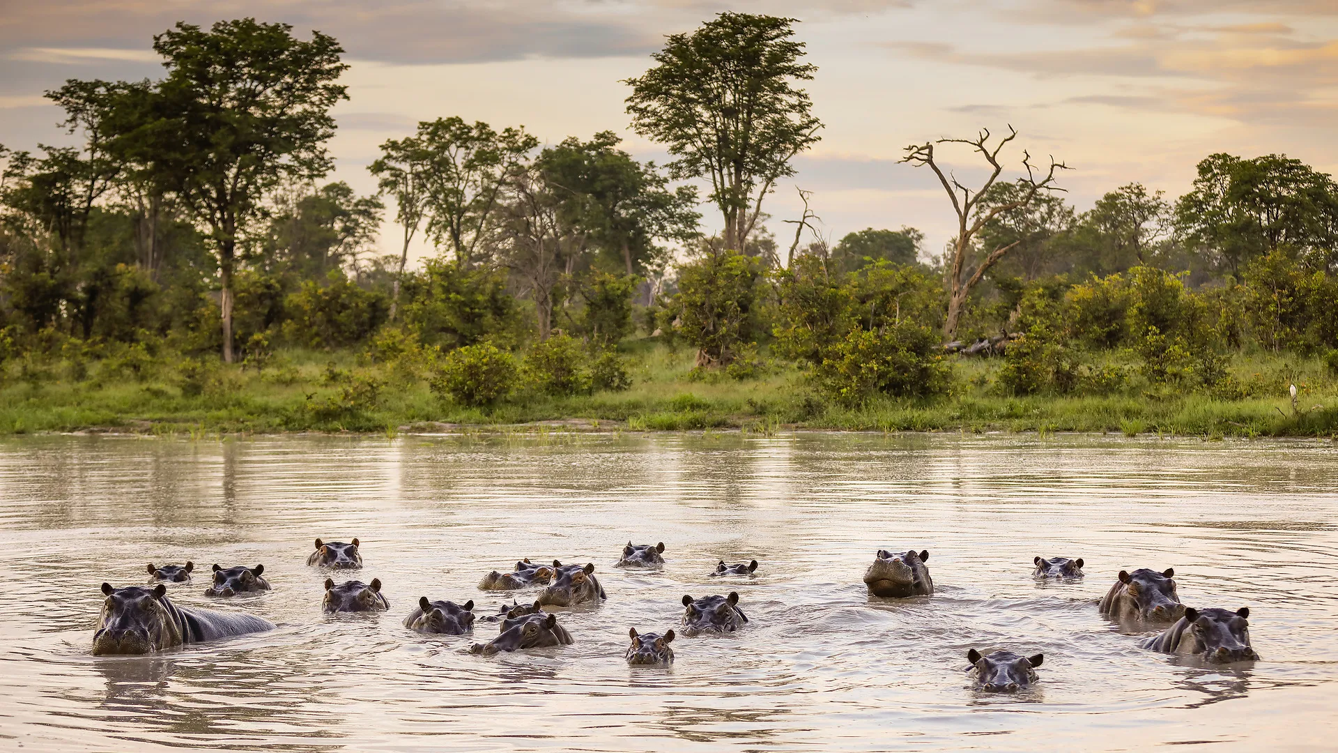Zimbabwe & Botswana "Game Trail" - Kleingruppe