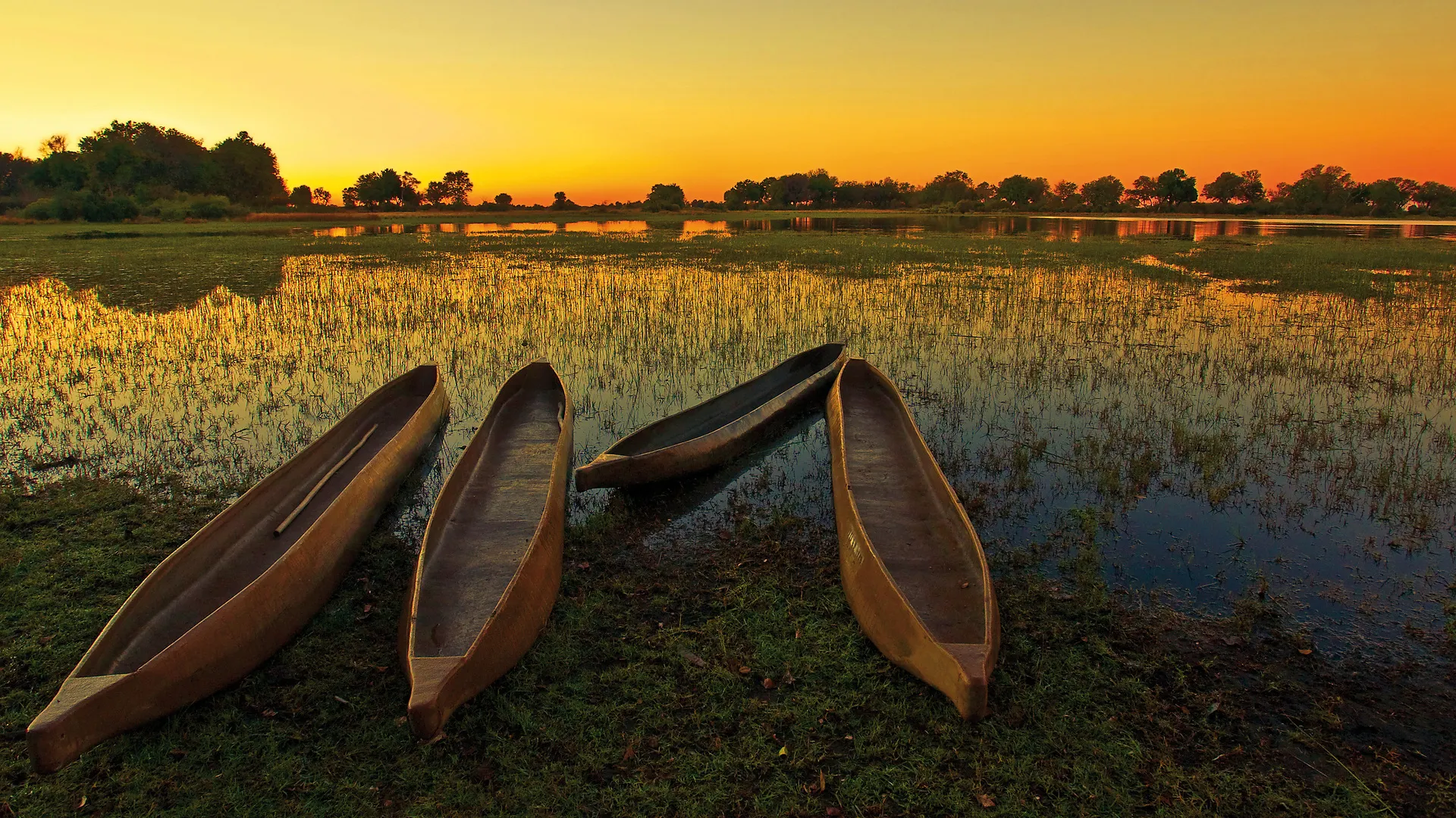 Zimbabwe & Botswana "Game Trail" - Kleingruppe