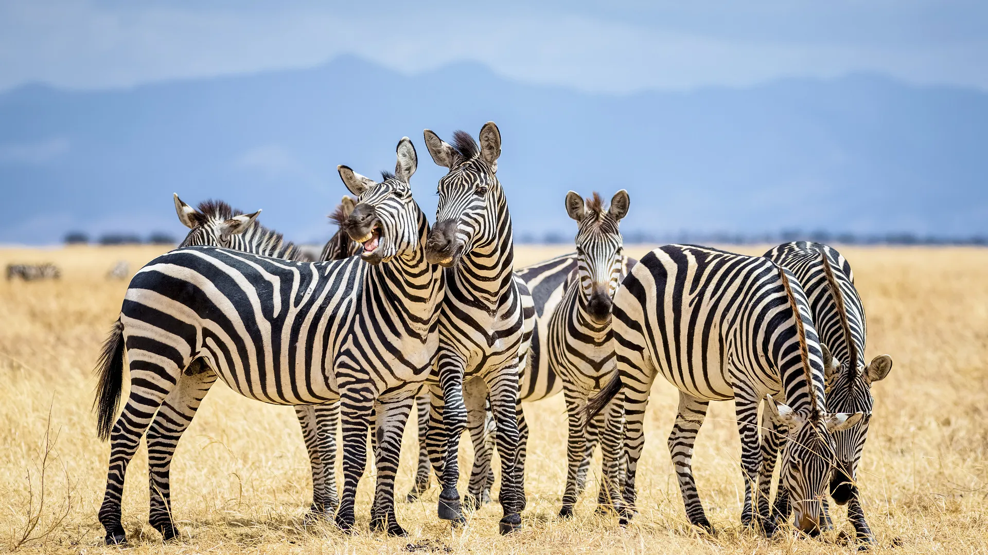 North Tanzania 4 Nächte - Privat