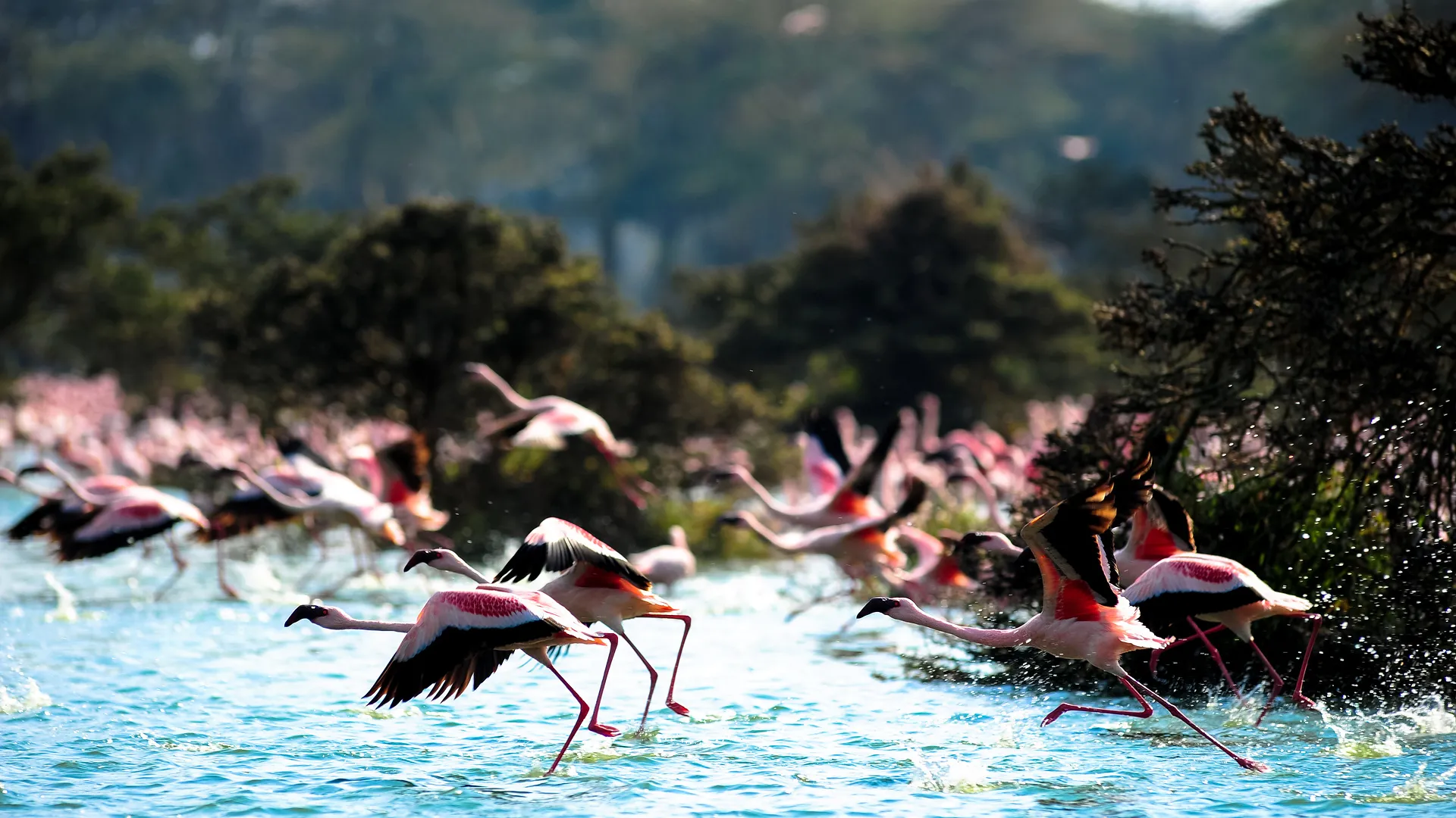 The Mombasa Rendezvous 3 Nächte - Privat