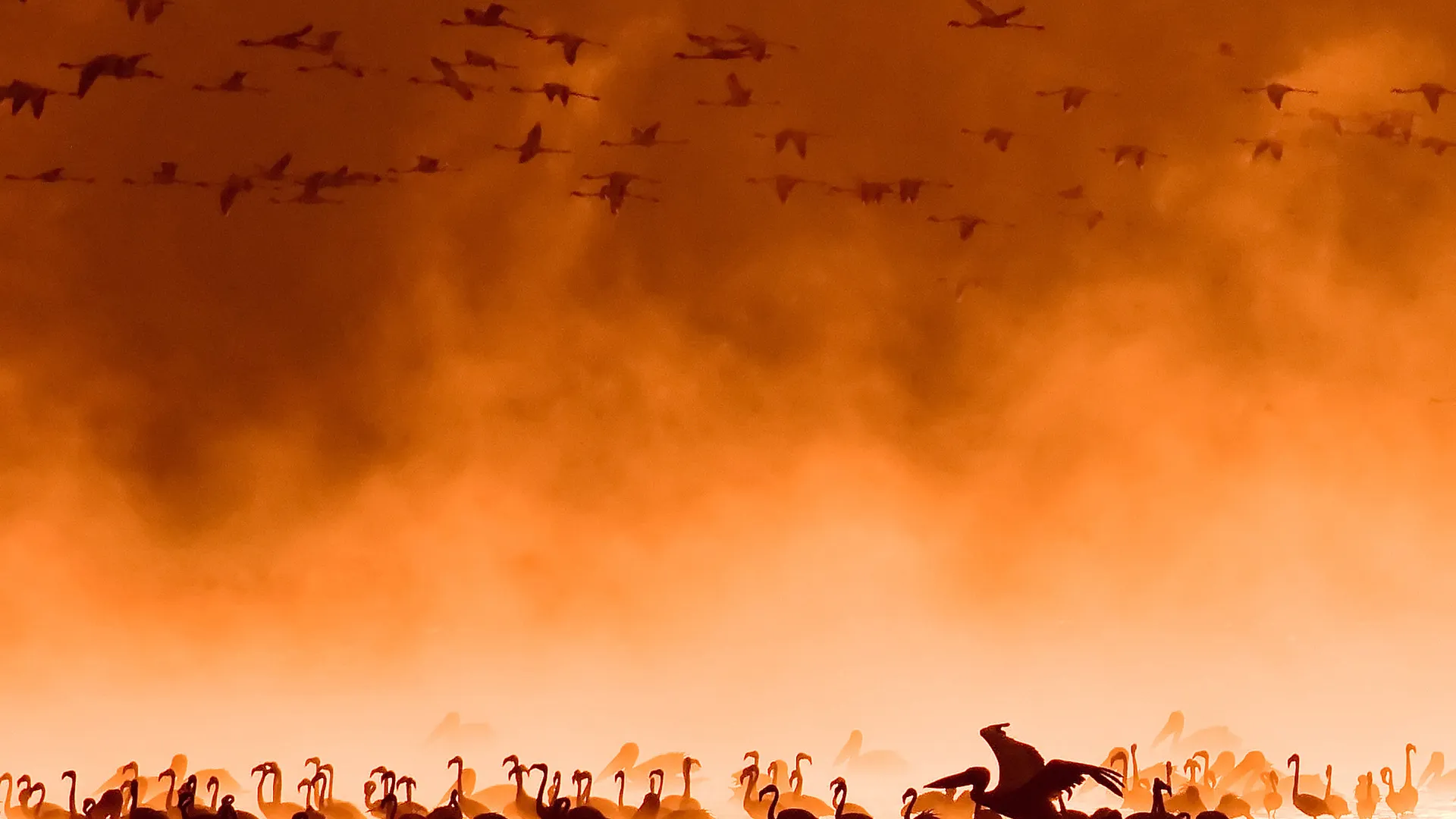 The Mombasa Rendezvous 3 Nächte - Privat