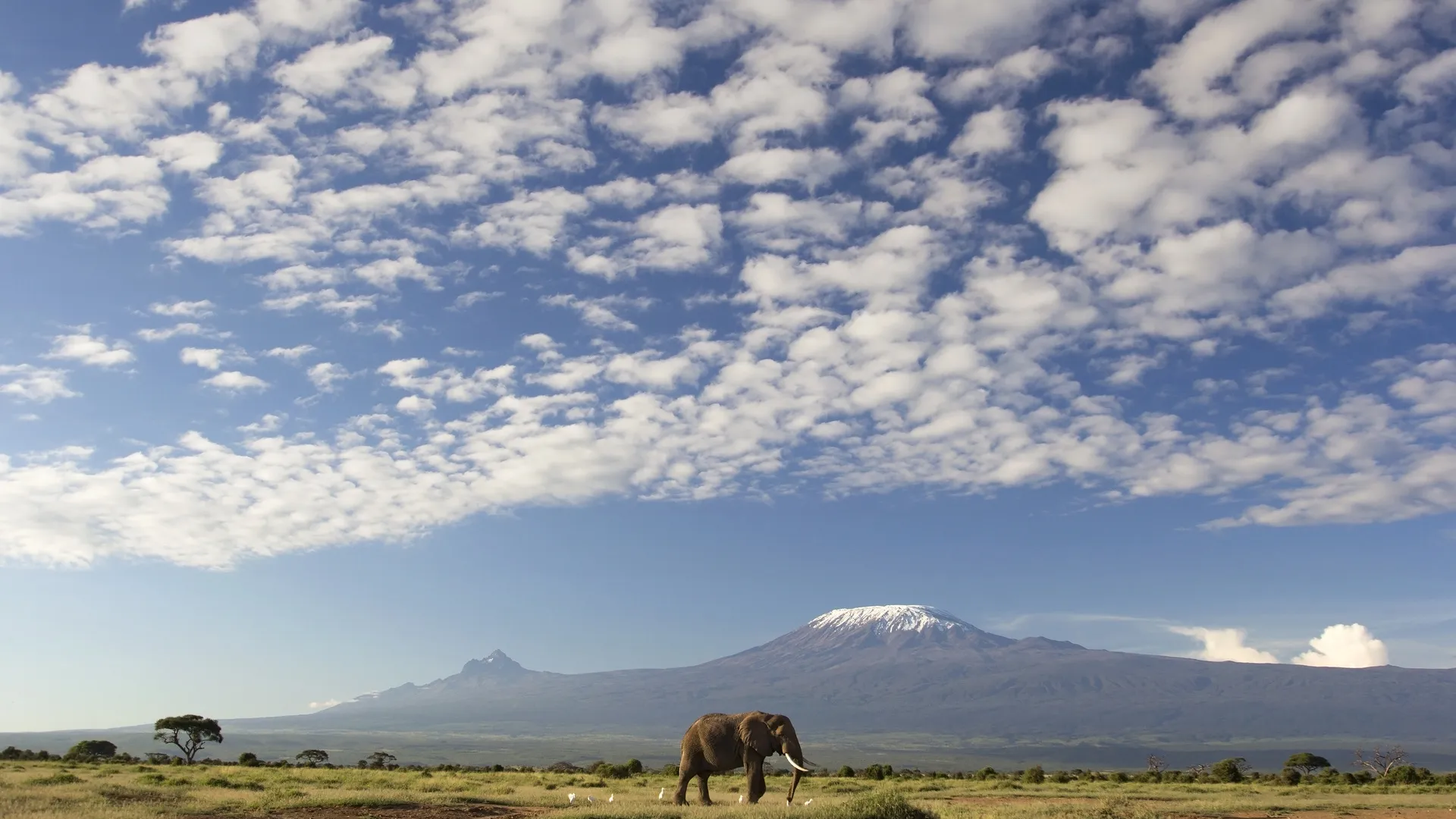 The Mombasa Rendezvous 3 Nächte - Kleingruppe
