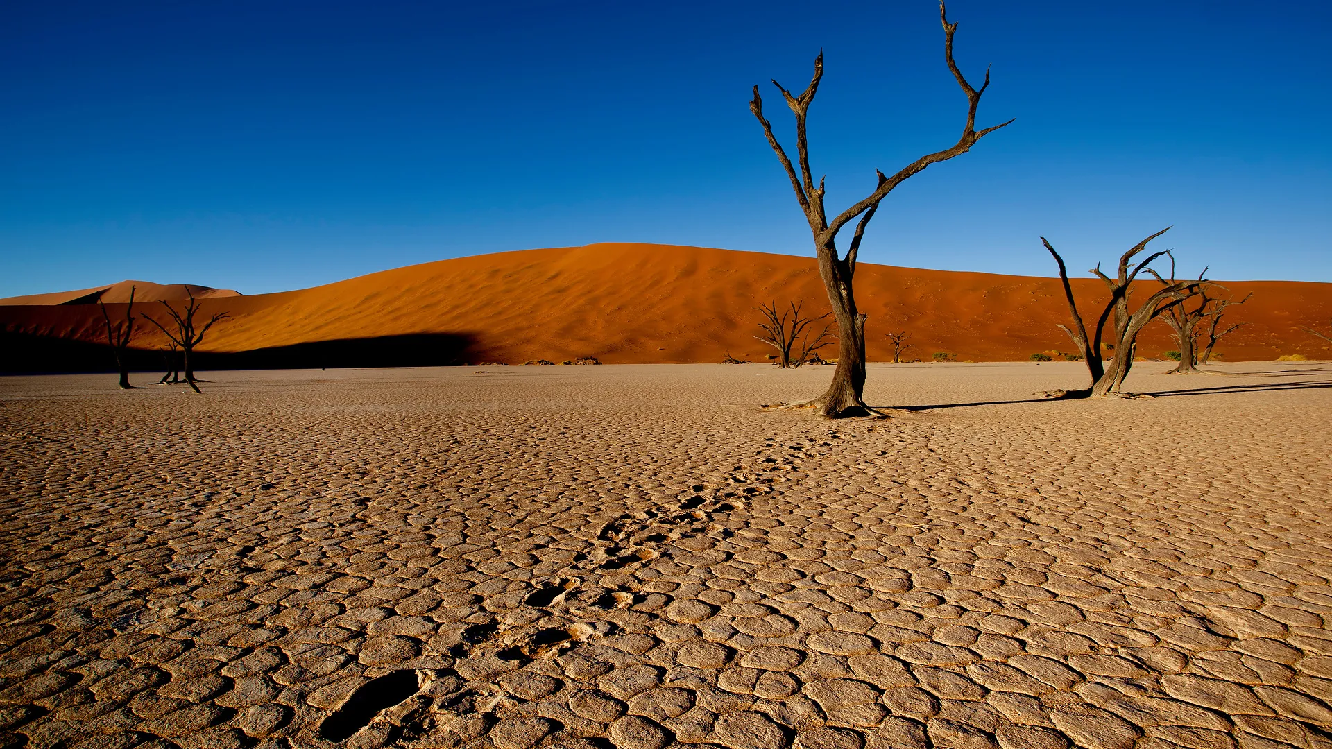 Südafrikas Highlights erleben