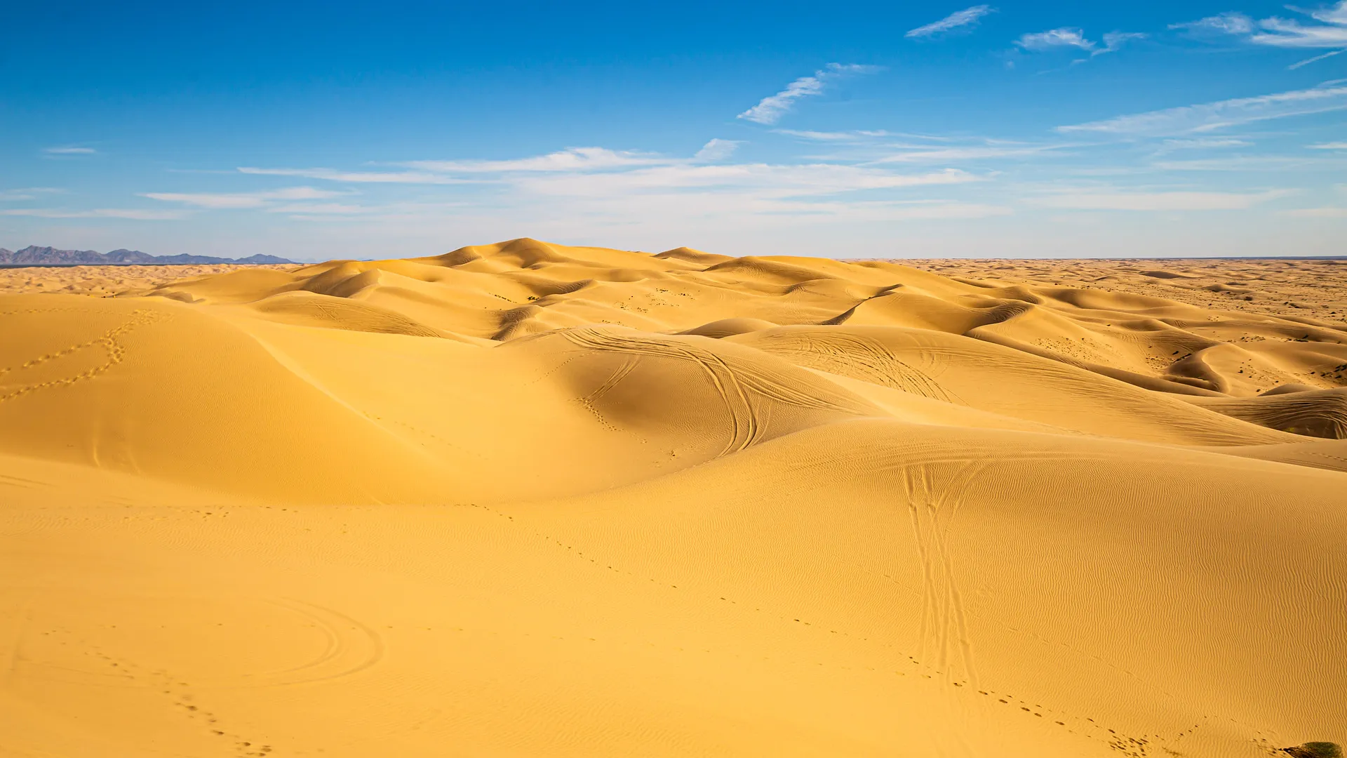 Usbekistans Highlights erleben