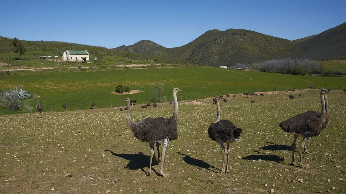 Südafrika | Das schönste Ende der Welt