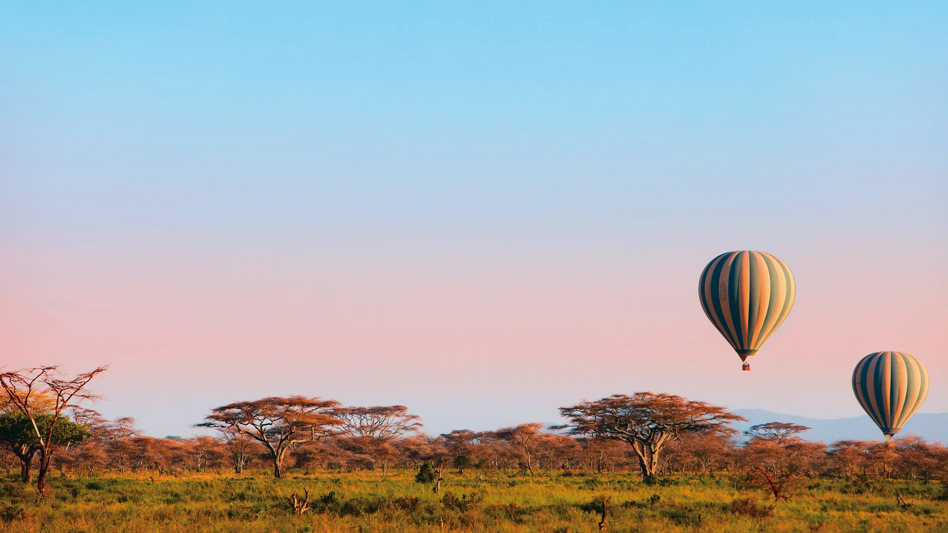 Südafrikas Highlights erleben