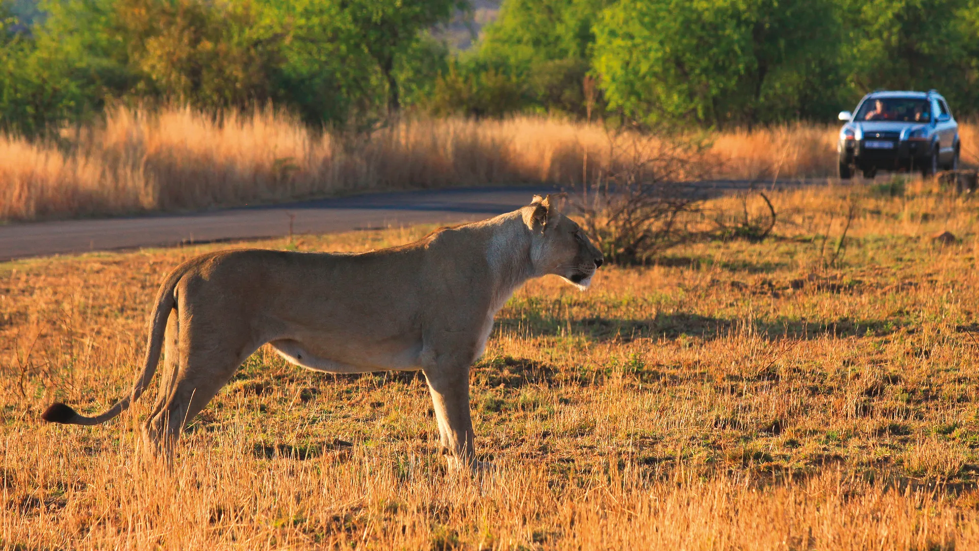 A Kenya Odyssey to Mombasa Coast 7 Nächte - Kleingruppe: ab Nairobi/bis Mombasa
