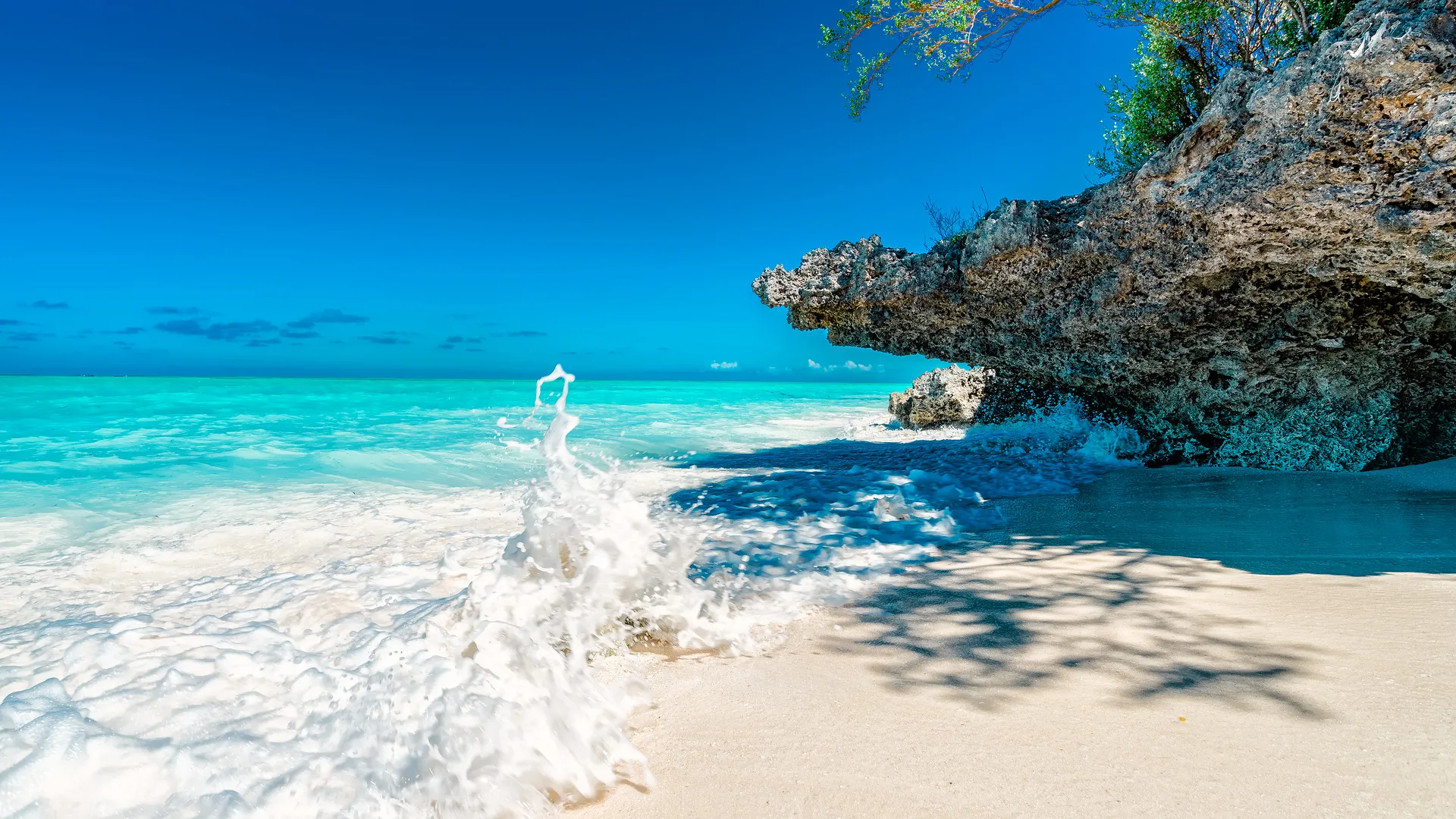 North Tanzania Safari 7 Nächte & 5 Nächte Badeaufenthalt auf Sansibar