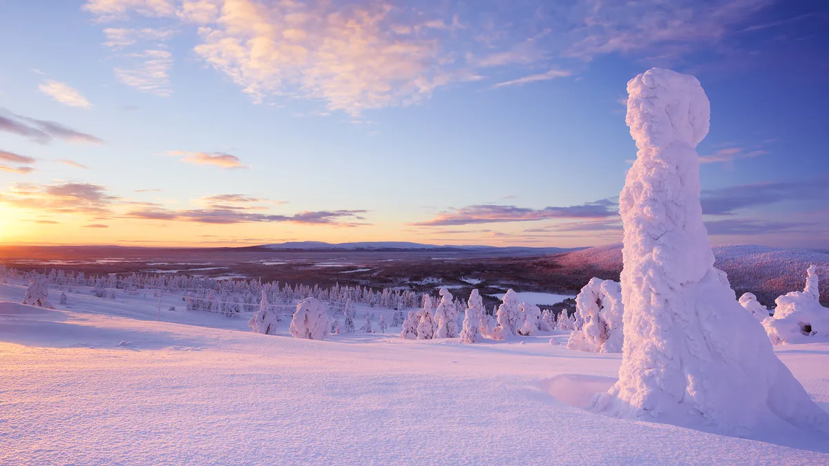 Kulinarik & Nordlichter