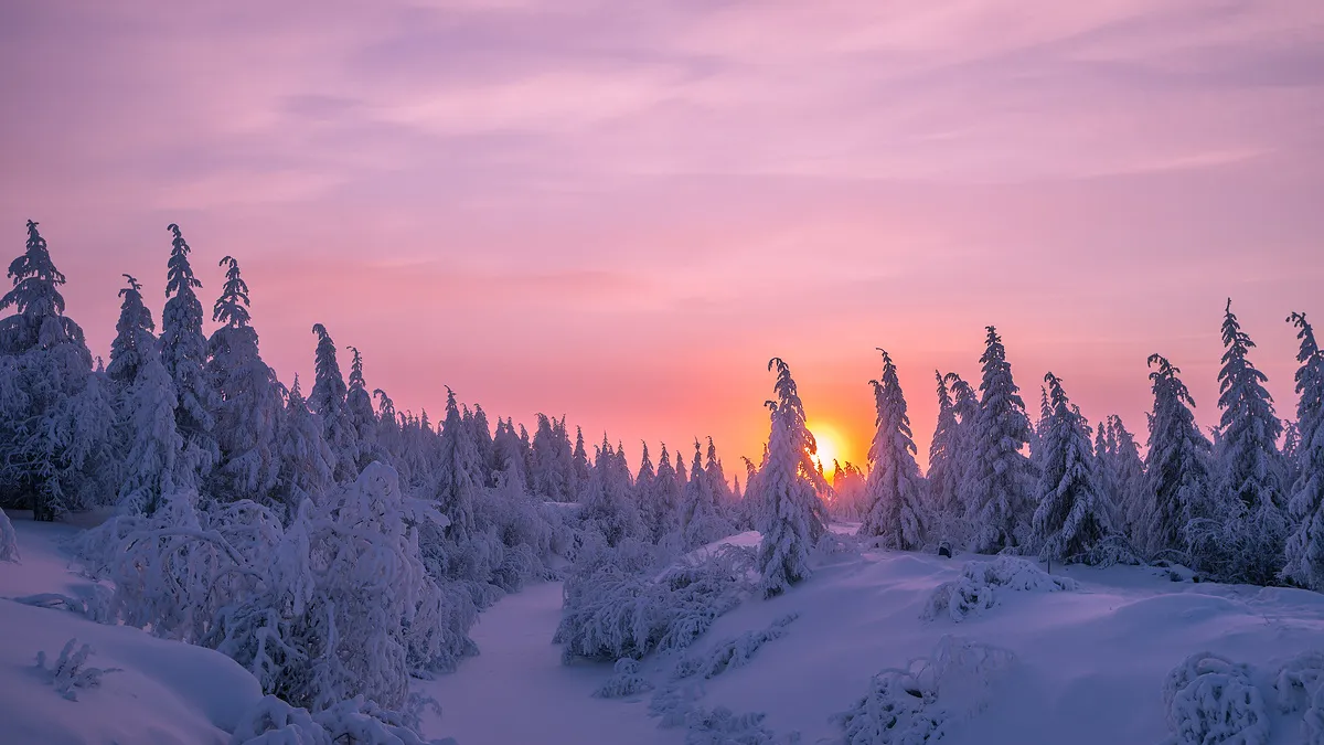 Kulinarik & Nordlichter