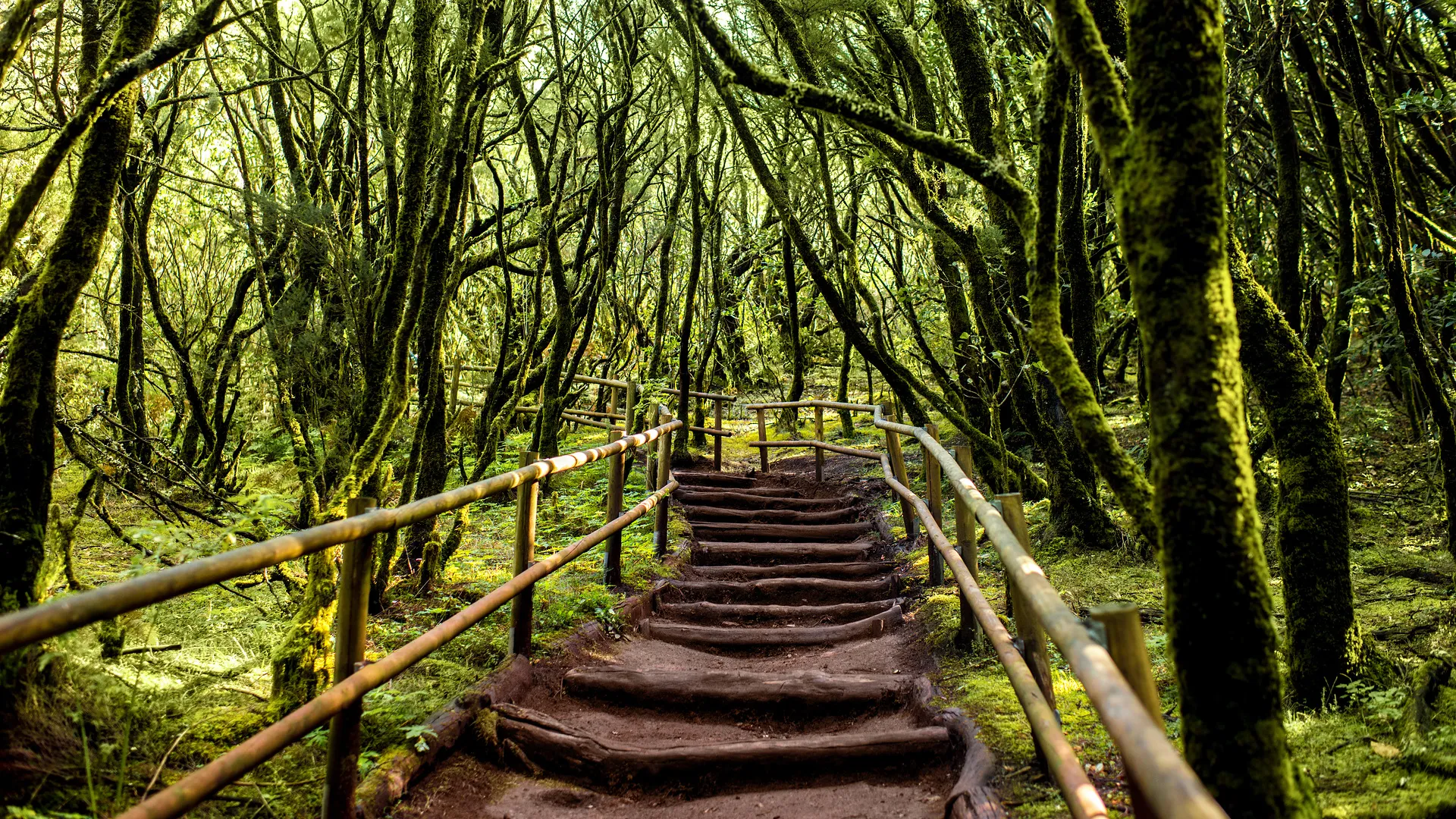 La Gomera - das Juwel der Kanaren erwandern