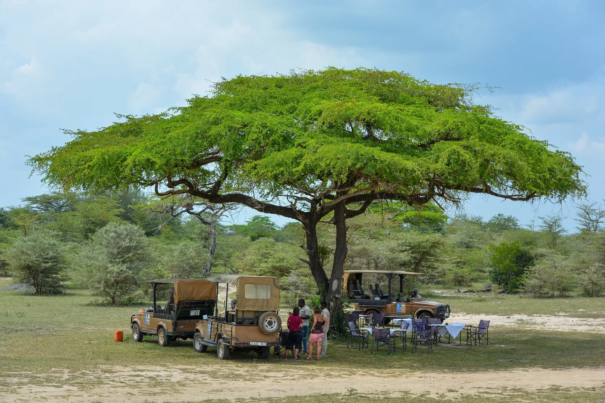 Sansibar | Ruf der Wildnis - Safari & Baden | Dream of Zanzibar ***** & Africa Safari Nyerere Camp | ab/bis Wien