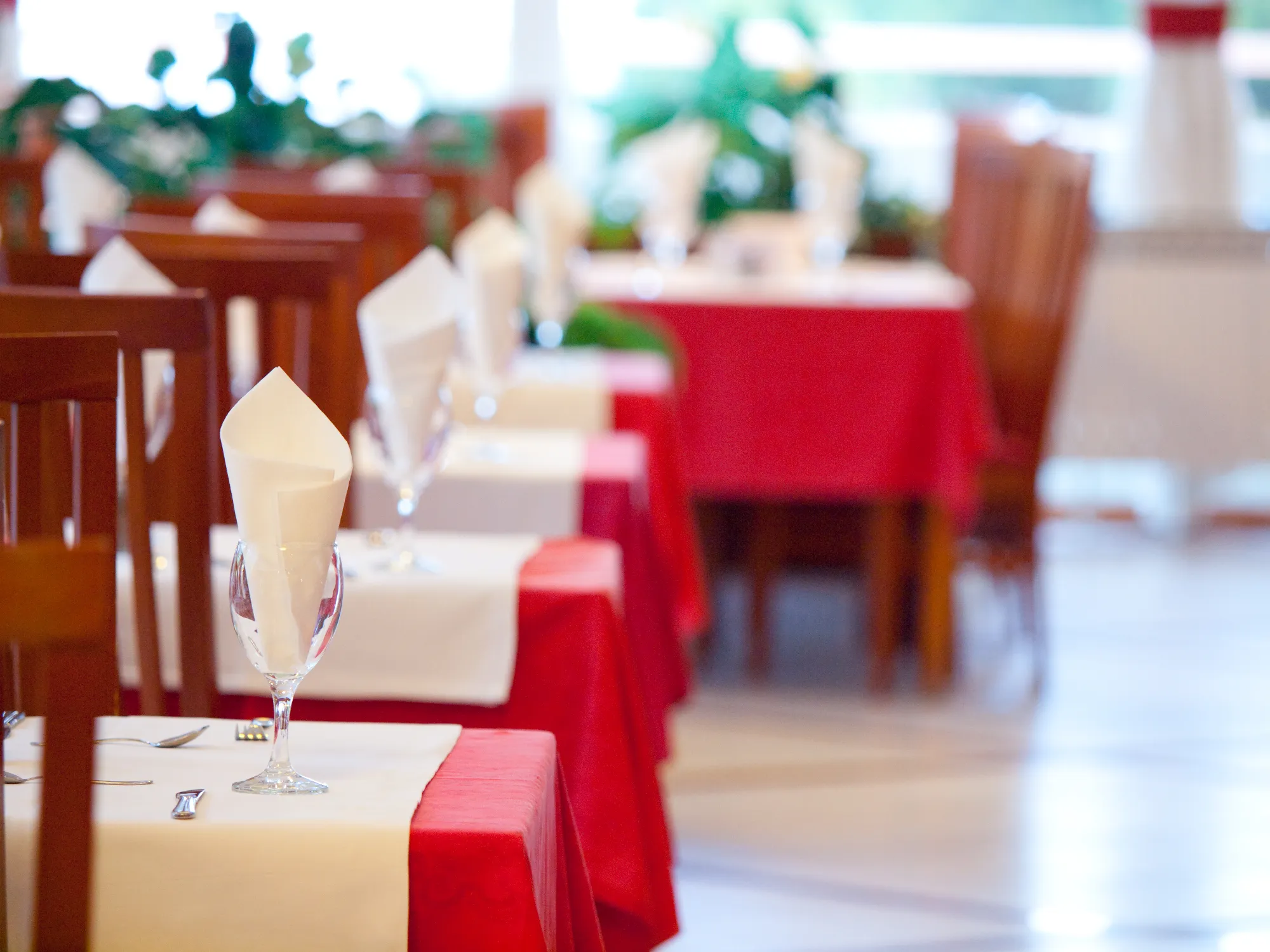 Hotel Mimosa - Lido Palace