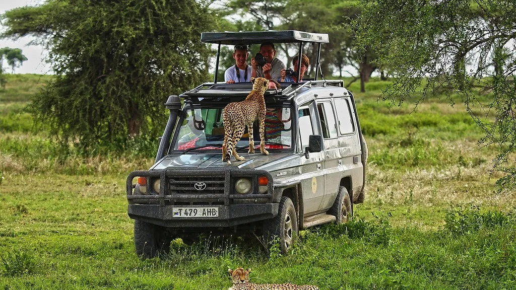 North Tanzania 4 Nächte - Privat