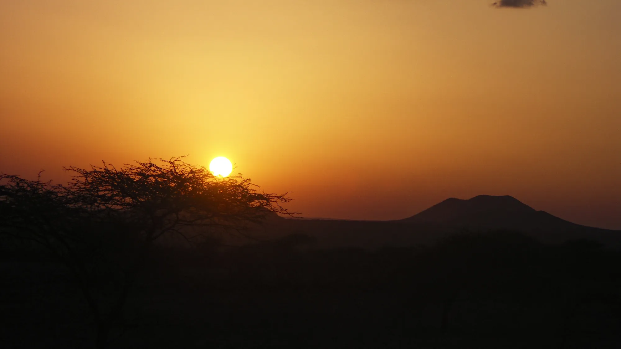 The Mombasa Rendezvous 3 Nächte - Kleingruppe