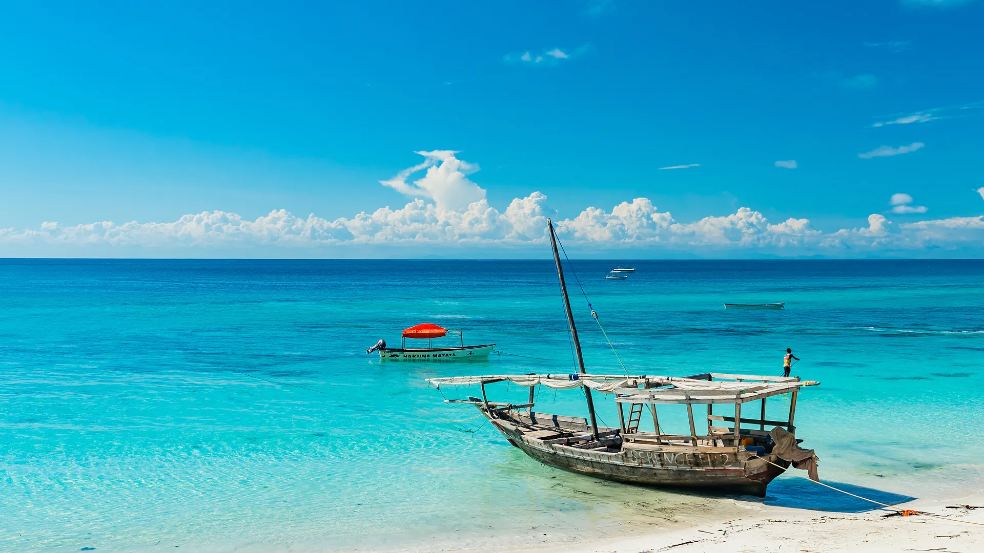 North Tanzania Safari 4 Nächte & 6 Nächte Badeaufenthalt auf Sansibar