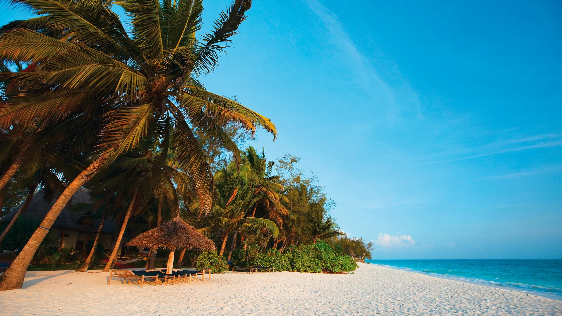 North Tanzania Safari 4 Nächte & 6 Nächte Badeaufenthalt auf Sansibar