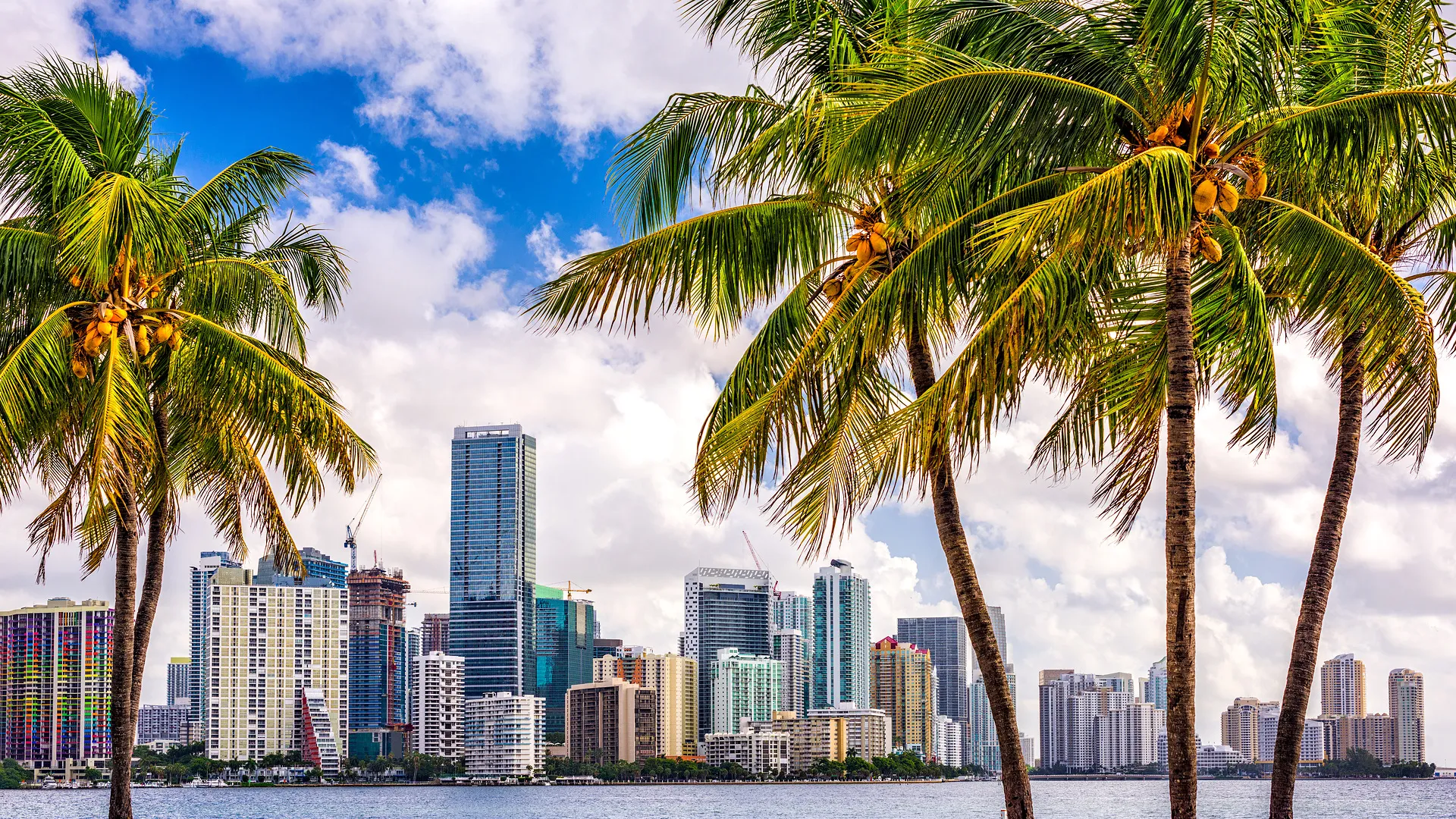 Busrundreise - Florida Sonnenschein