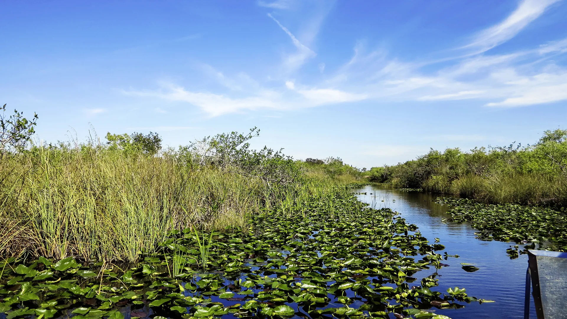 Mietwagenrundreise Intensives Florida