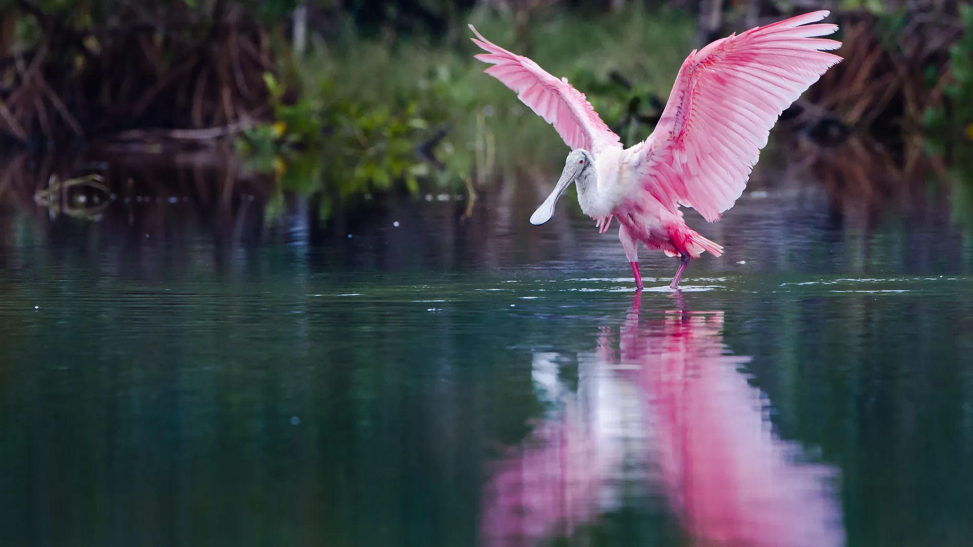 Mietwagenrundreise Florida Impresssionen