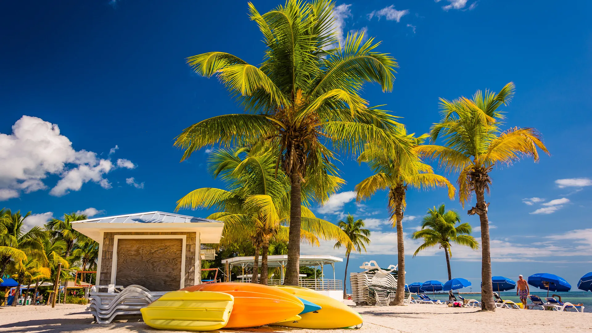 Busrundreise - Florida Sonnenschein