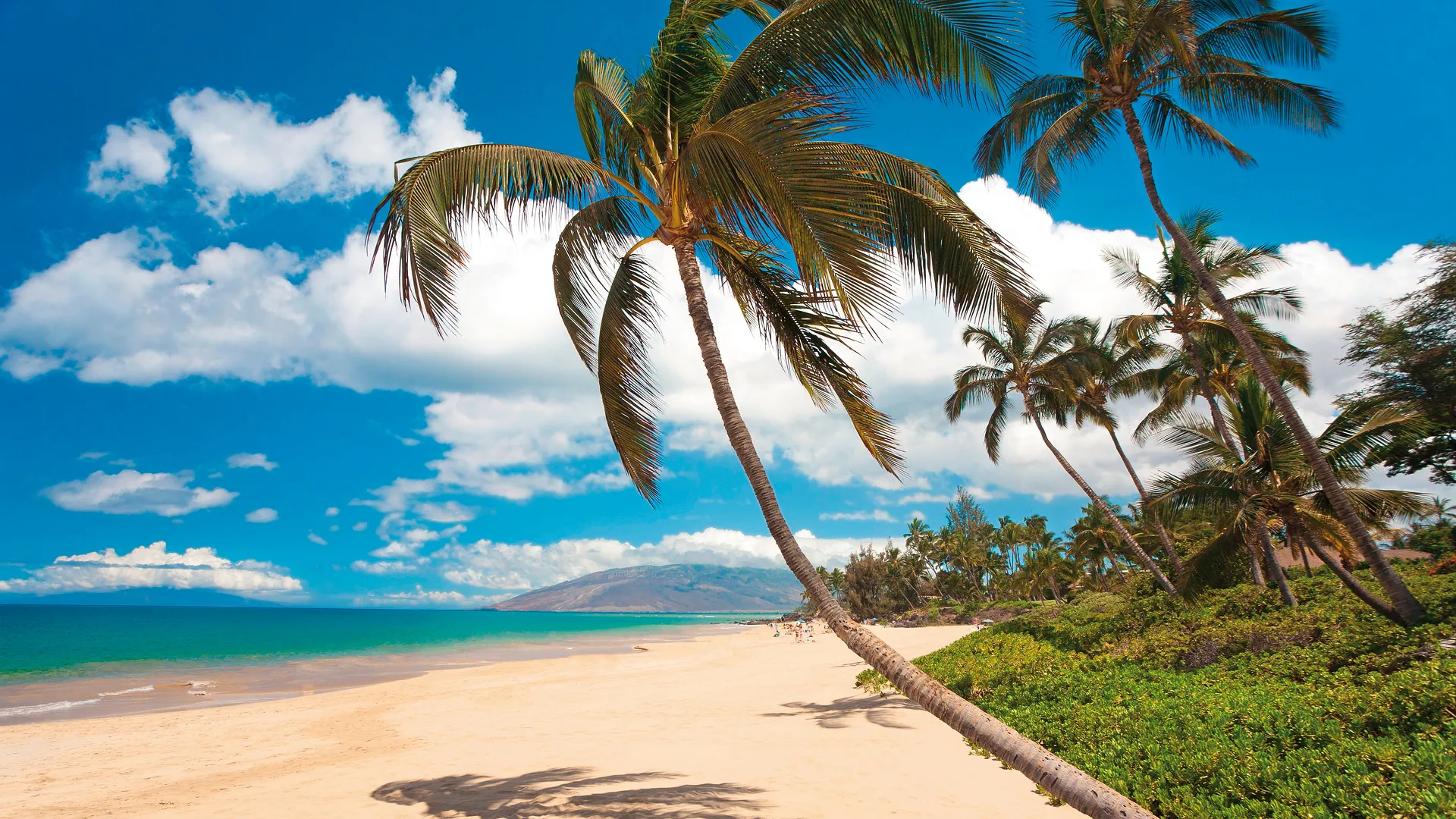 Mietwagenrundreise Exotisches Hawaii